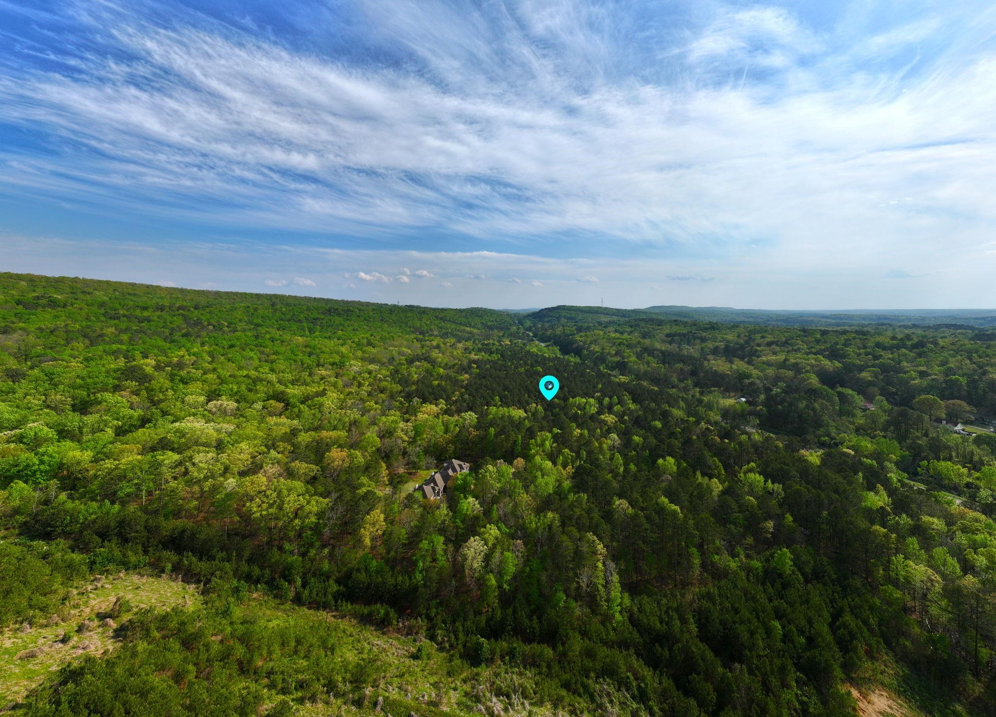 7867 Hwy 79, Pinson, AL 35126 — photo 10