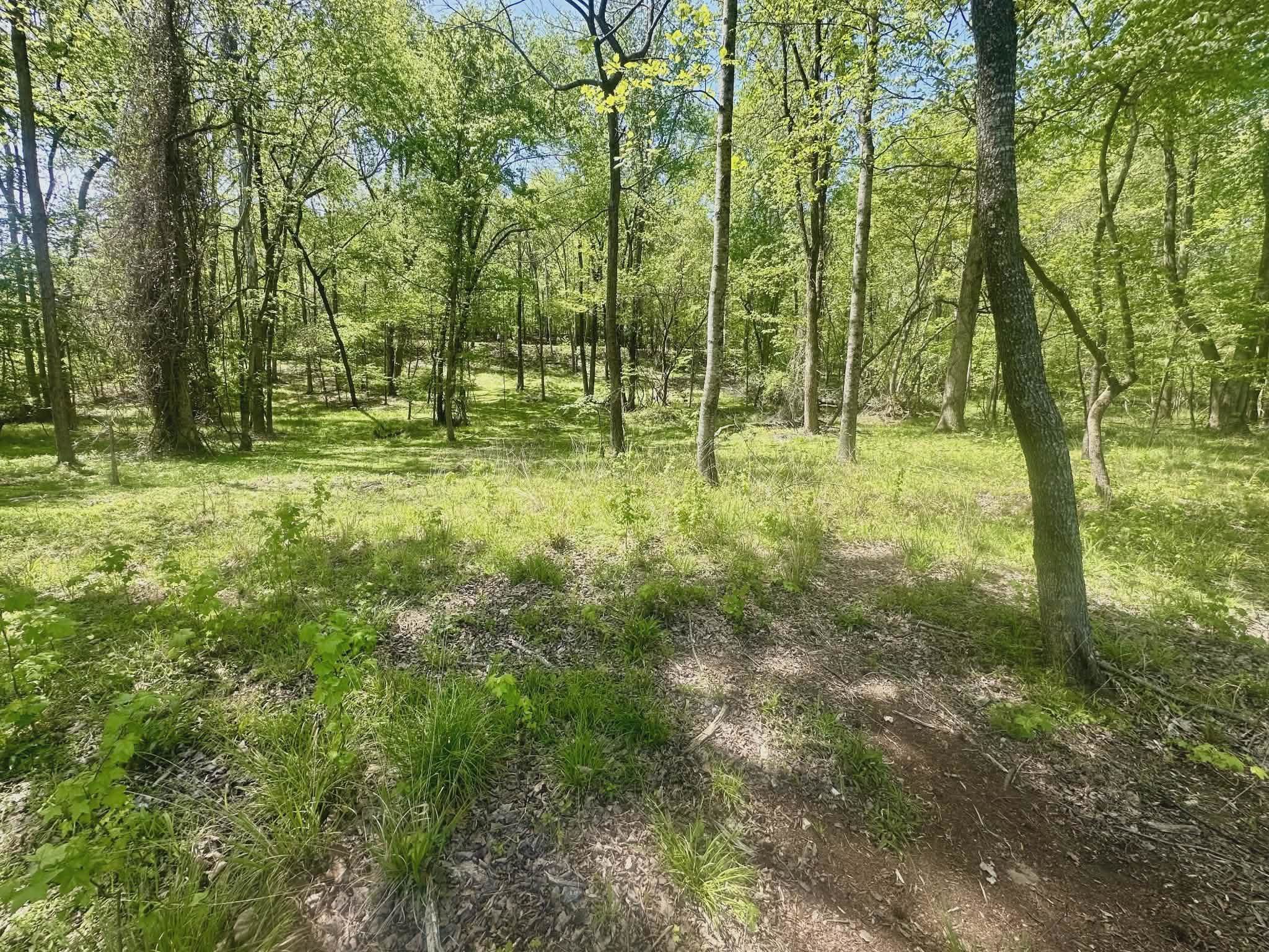 327 Heron Cove Rd, Killen, AL 35645 — photo 2