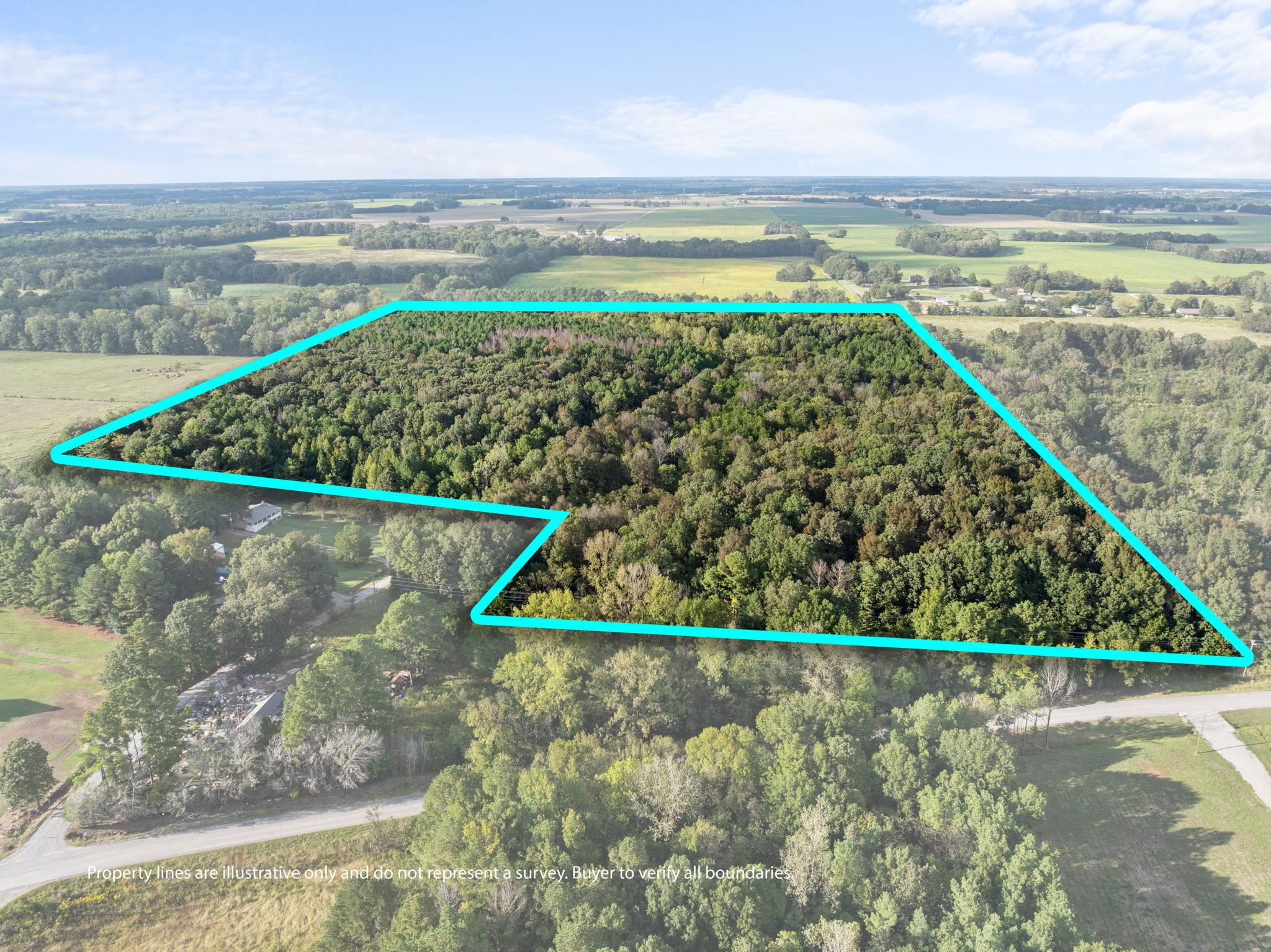 0 Co Rd 141, Town Creek, AL 35672 — photo 3