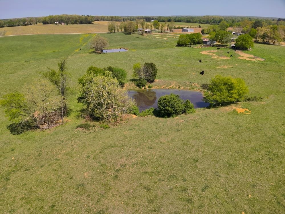 25.12 Acres Co Rd 363, Killen, AL 35645 — photo 9