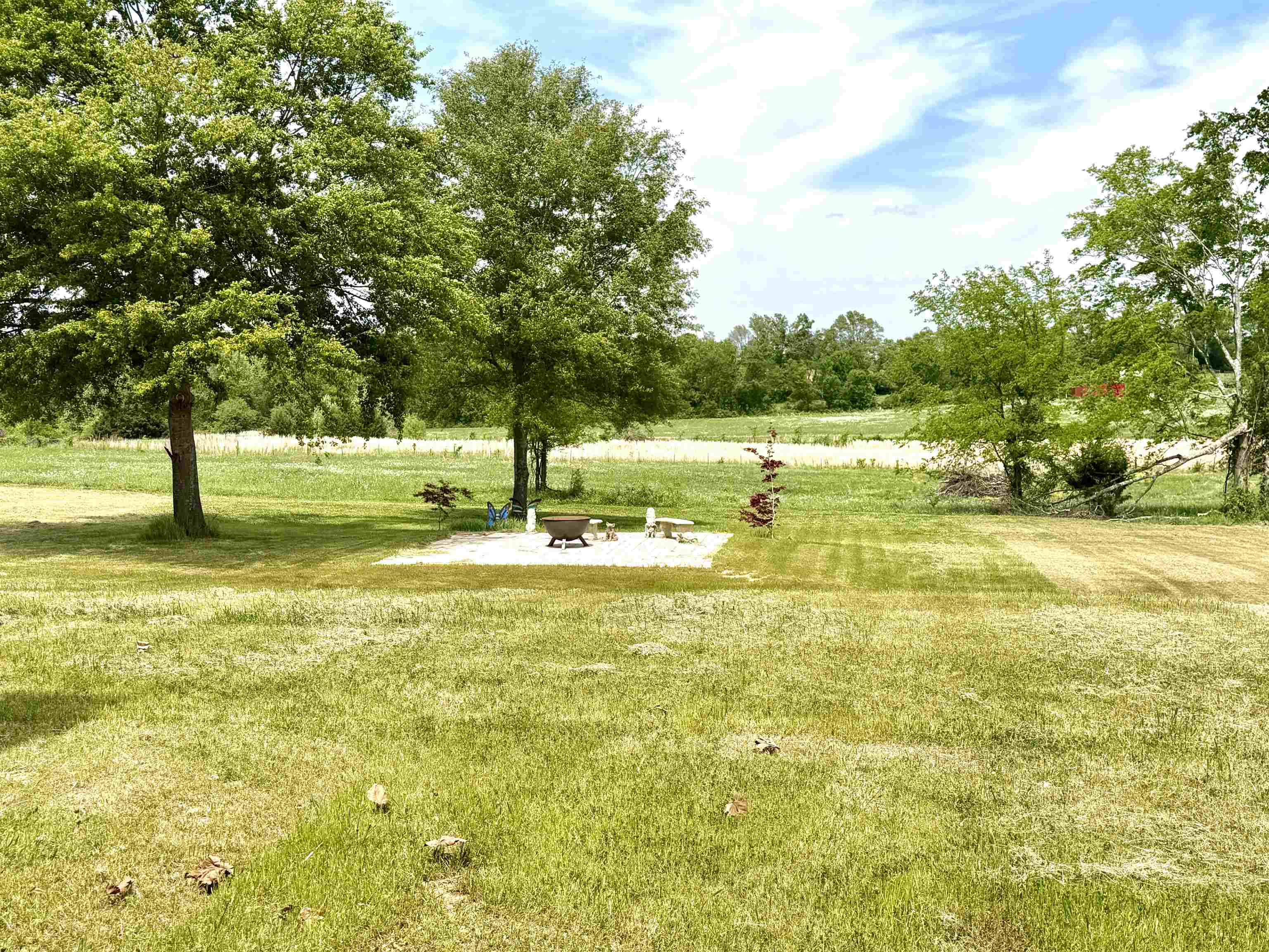 195 Spout Springs Rd, Muscle Shoals, AL 35661 — photo 7