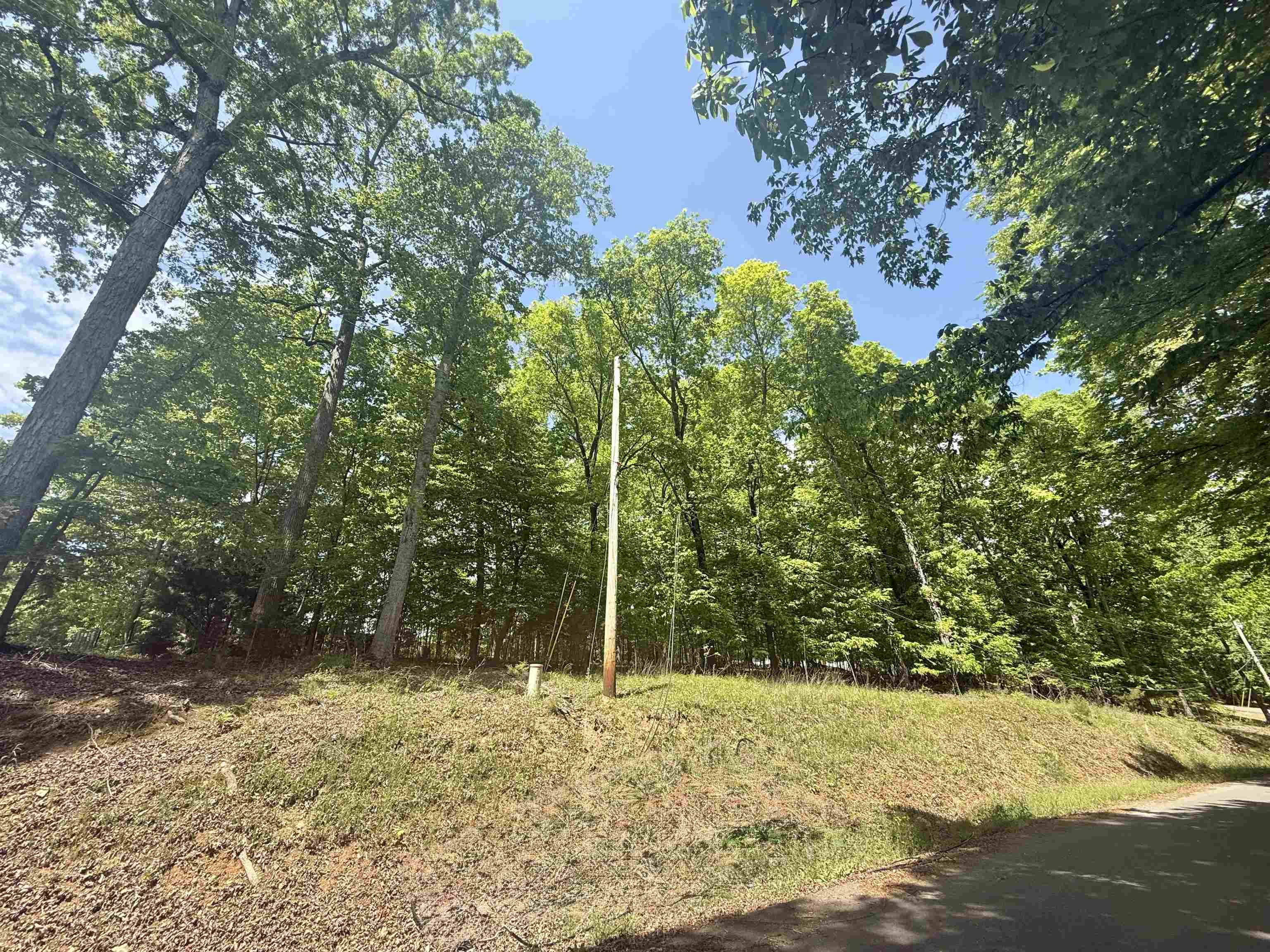 1501 Riverfront Rd, Rogersville, AL 35652 — photo 1
