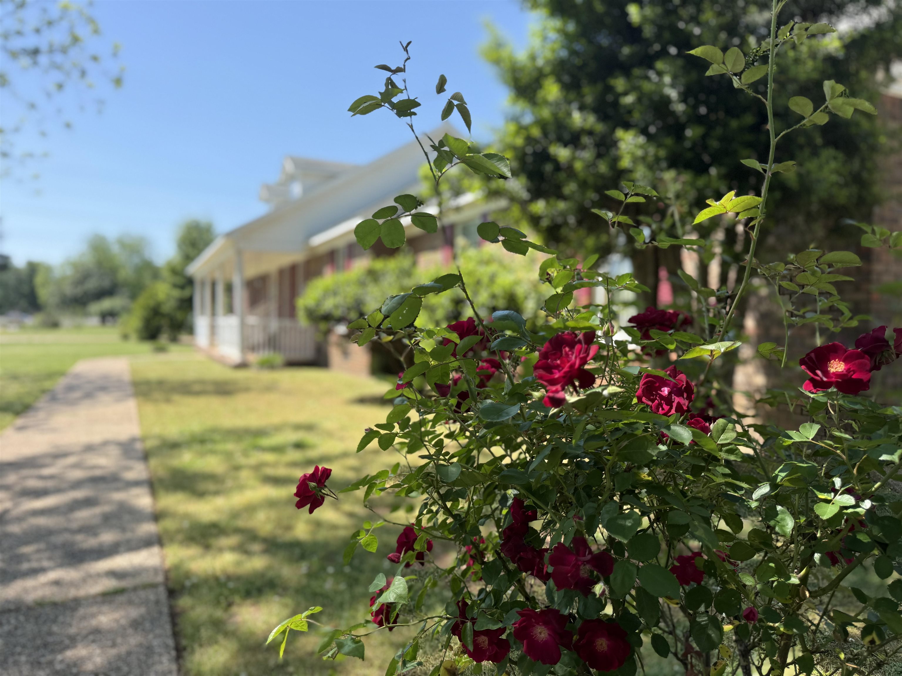 1925 Berry Ave, Florence, AL 35630 — photo 4