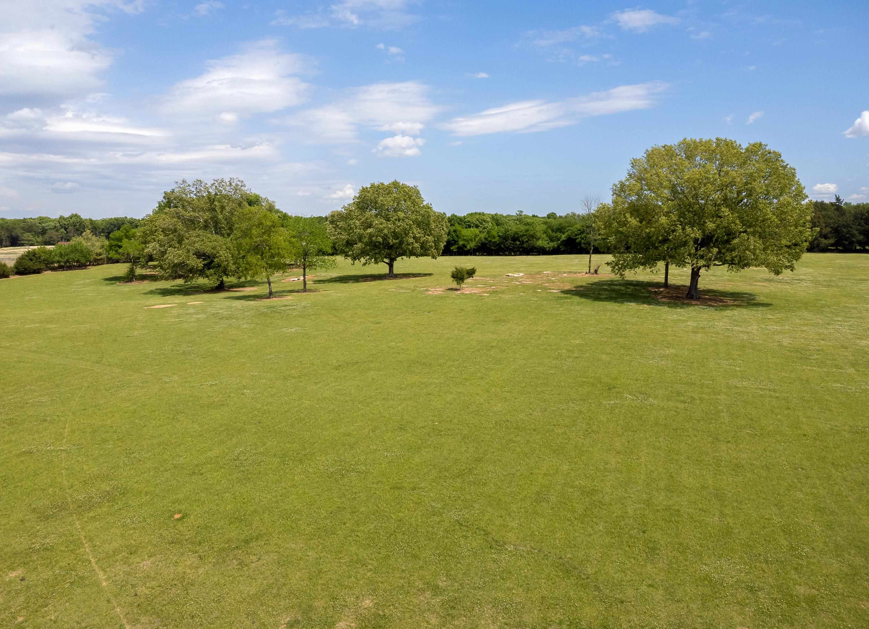 272 Hwy 87, Russellville, AL 35654 — photo 3