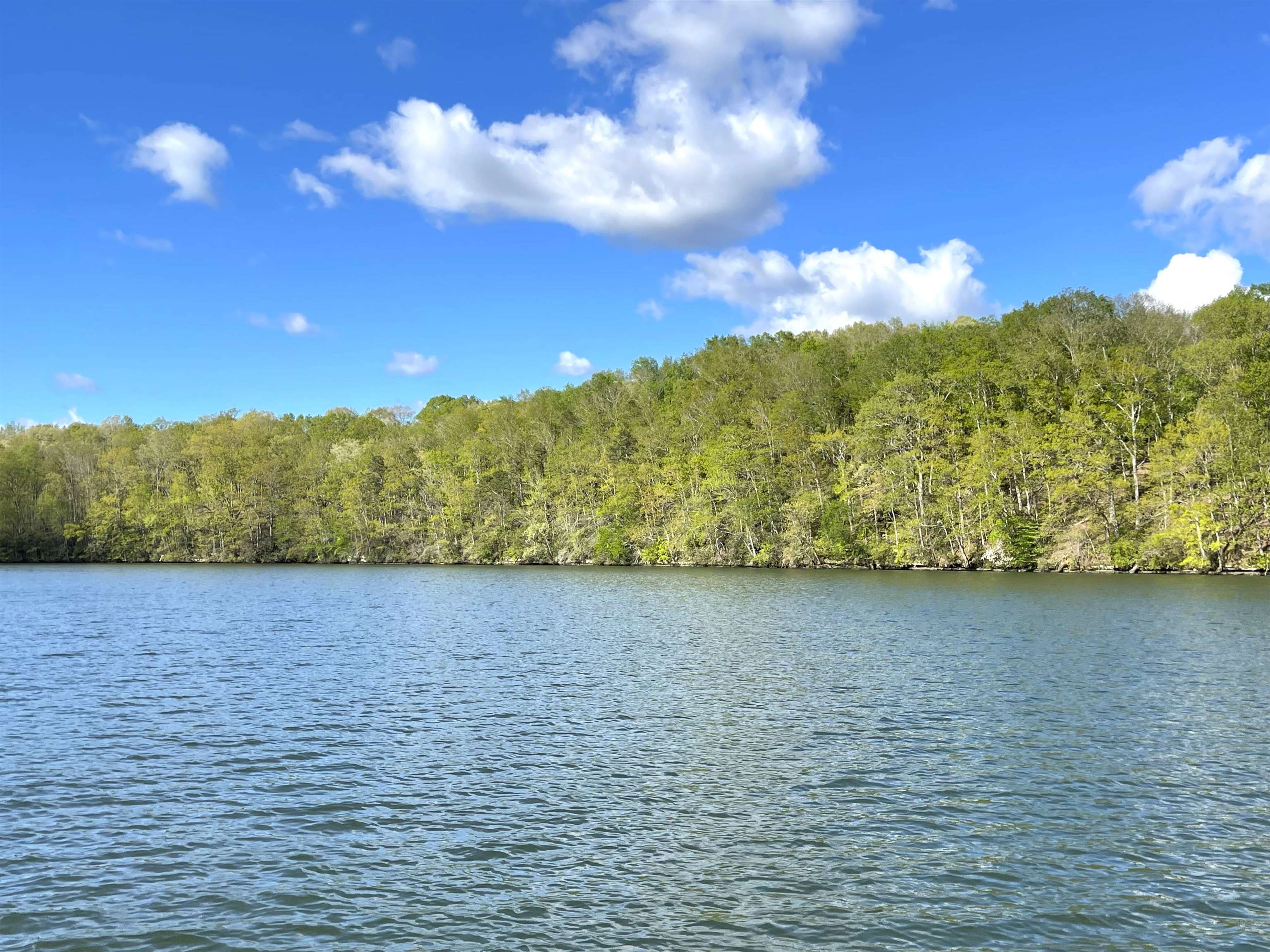 1440 Lingerlost Rd, Killen, AL 35645 — photo 2