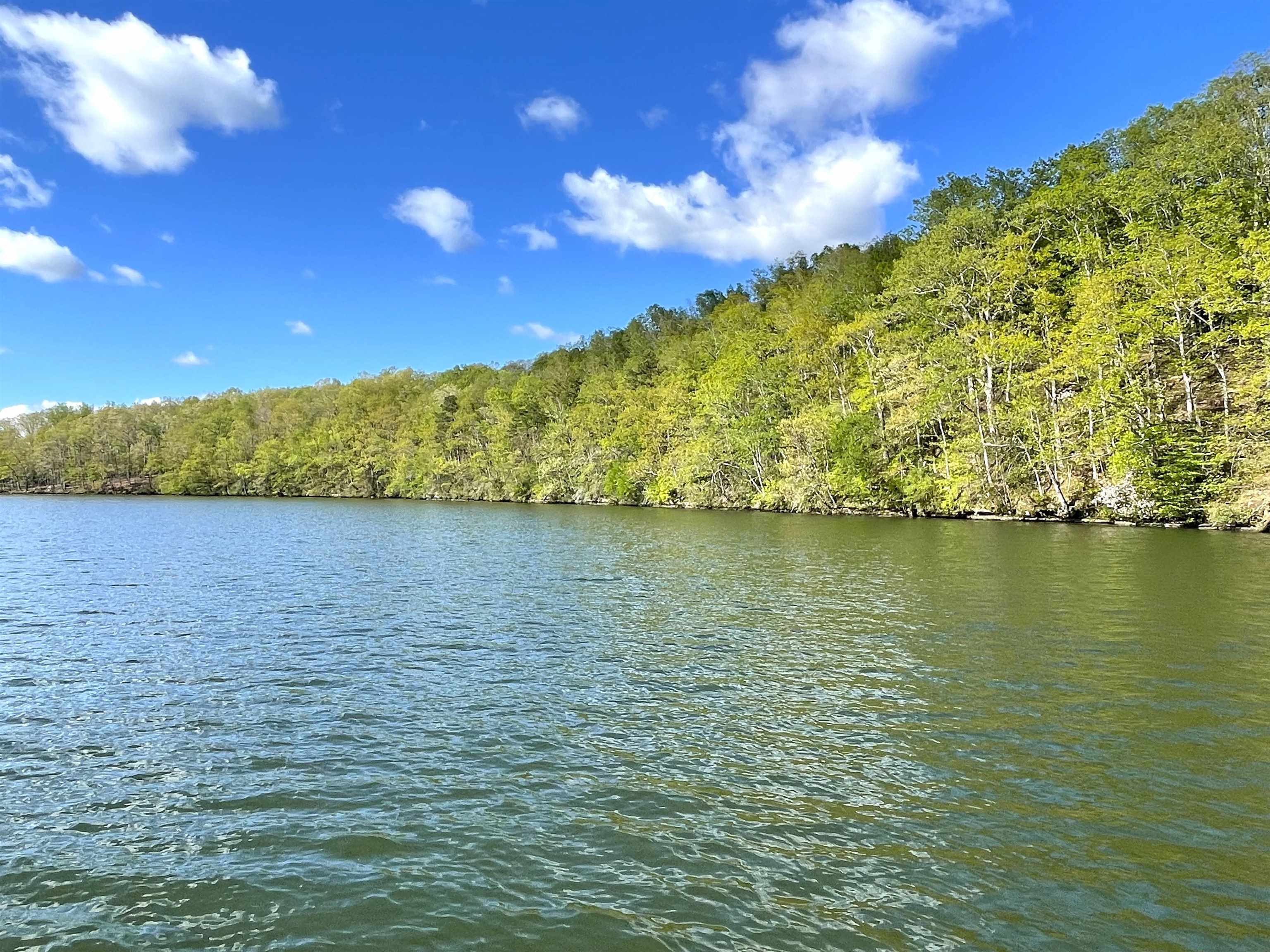 1440 Lingerlost Rd, Killen, AL 35645 — photo 4