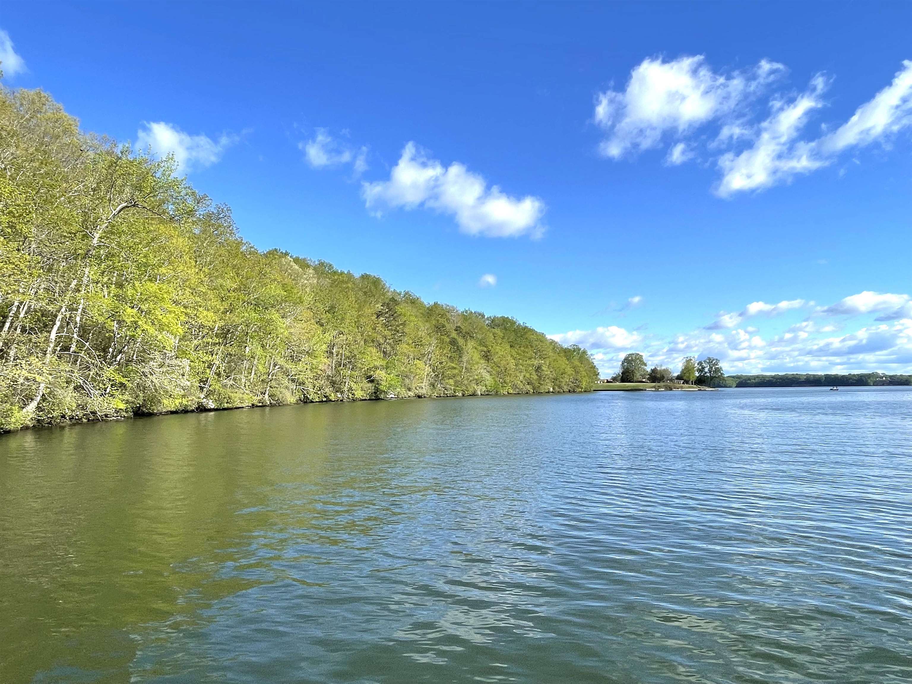 1440 Lingerlost Rd, Killen, AL 35645 — photo 5