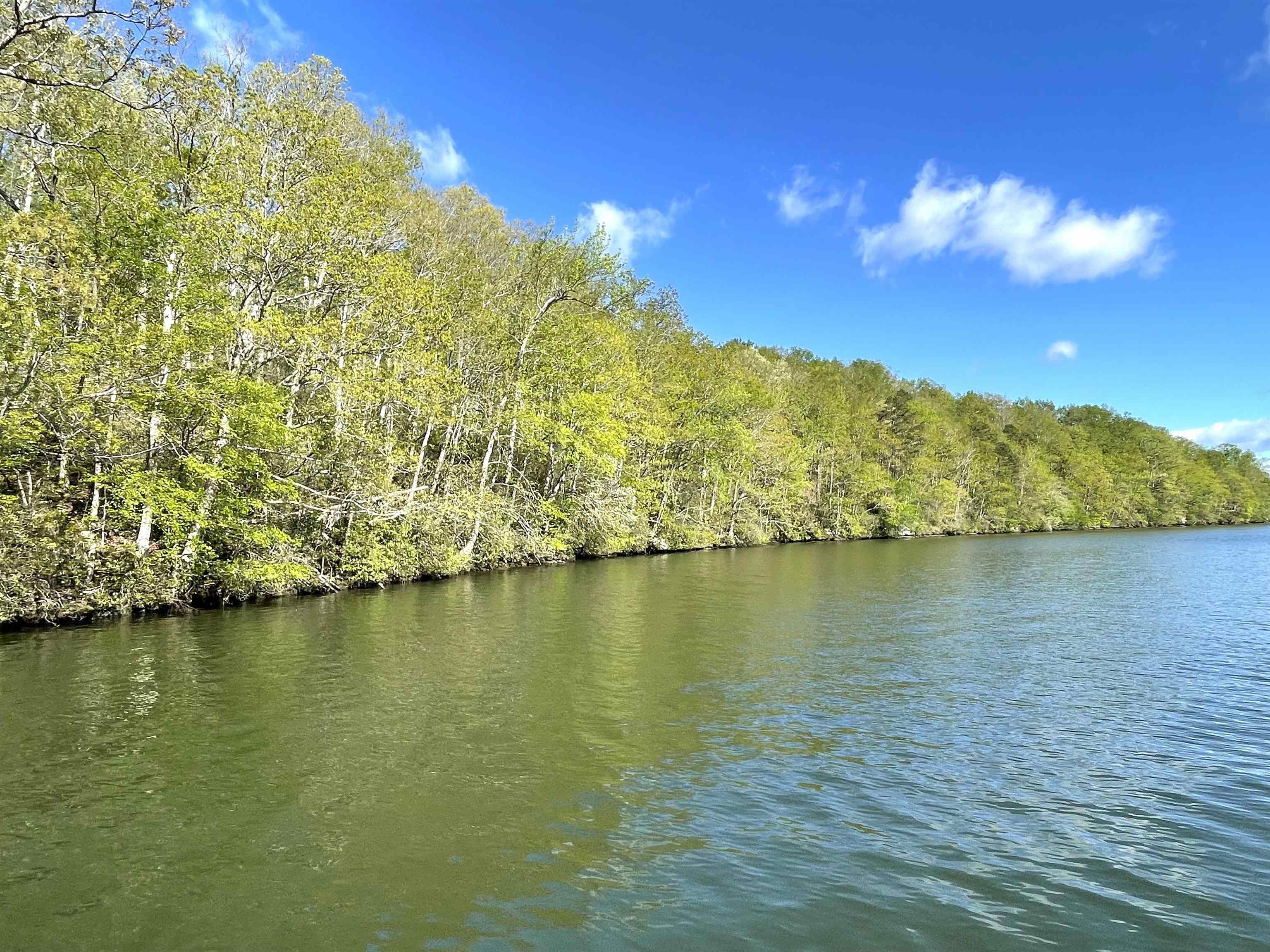 1440 Lingerlost Rd, Killen, AL 35645 — photo 6