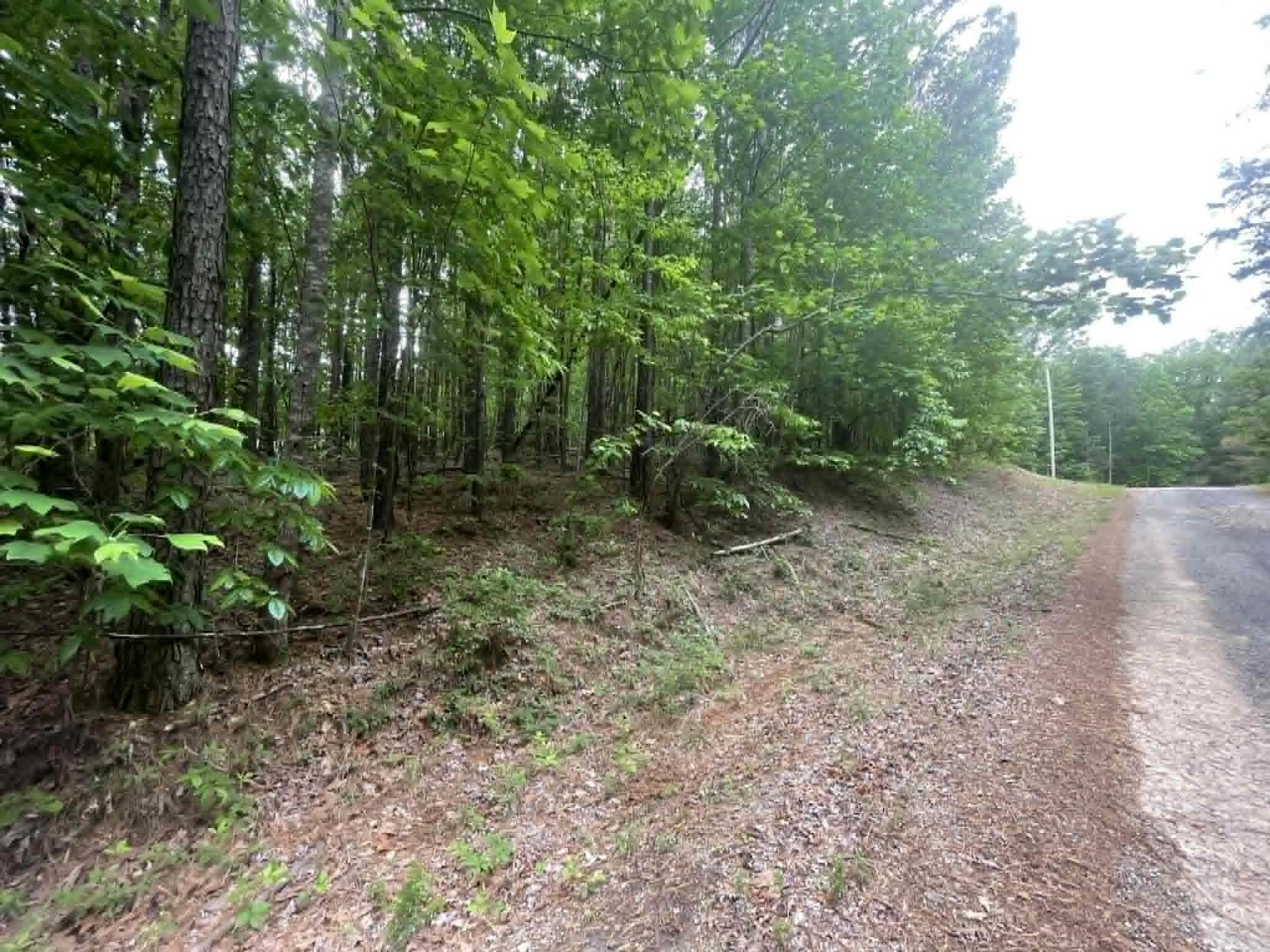 00 Bluff Way, Jasper, AL 35503 — photo 2