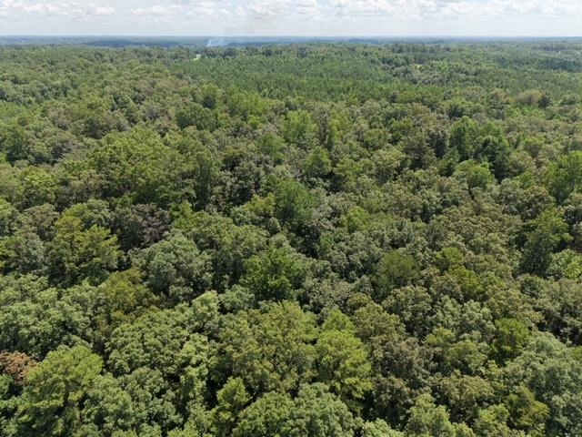 00 Bluff Way, Jasper, AL 35503 — photo 11