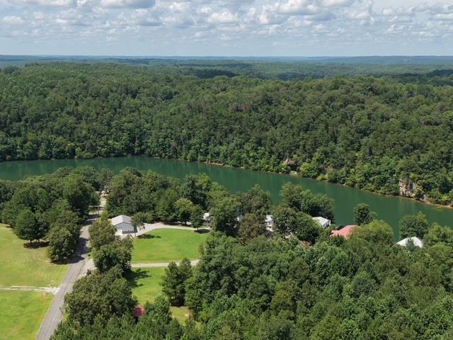 00 Bluff Way, Jasper, AL 35503 — photo 12