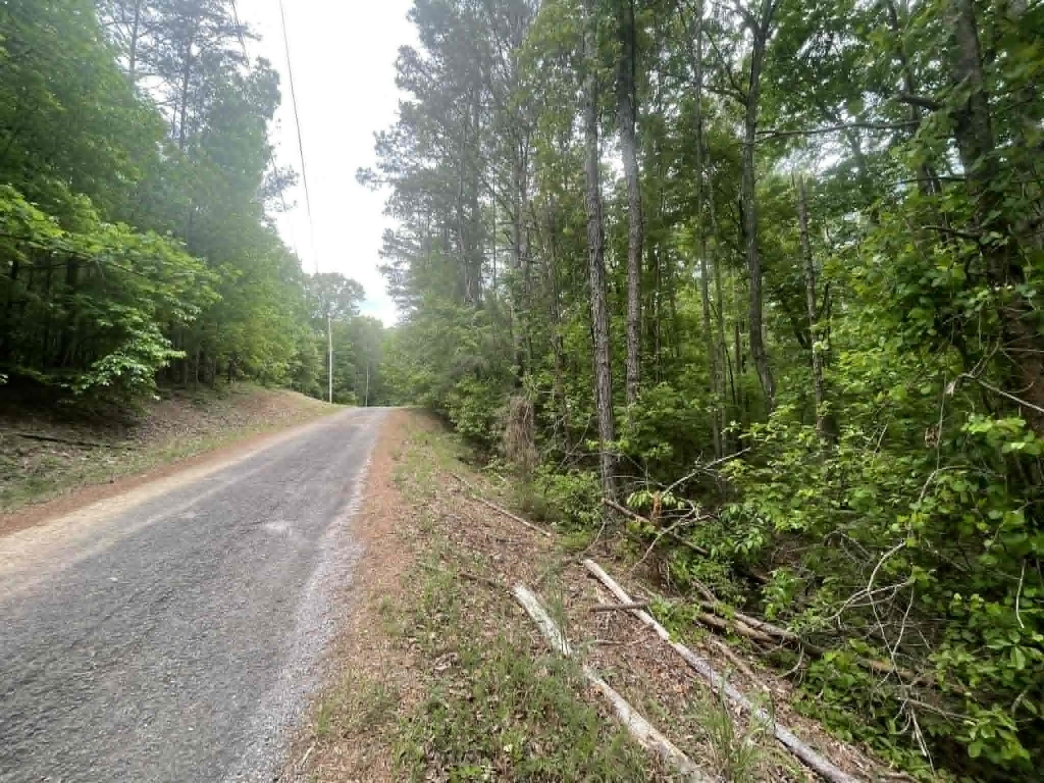 00 Bluff Way, Jasper, AL 35503 — photo 4