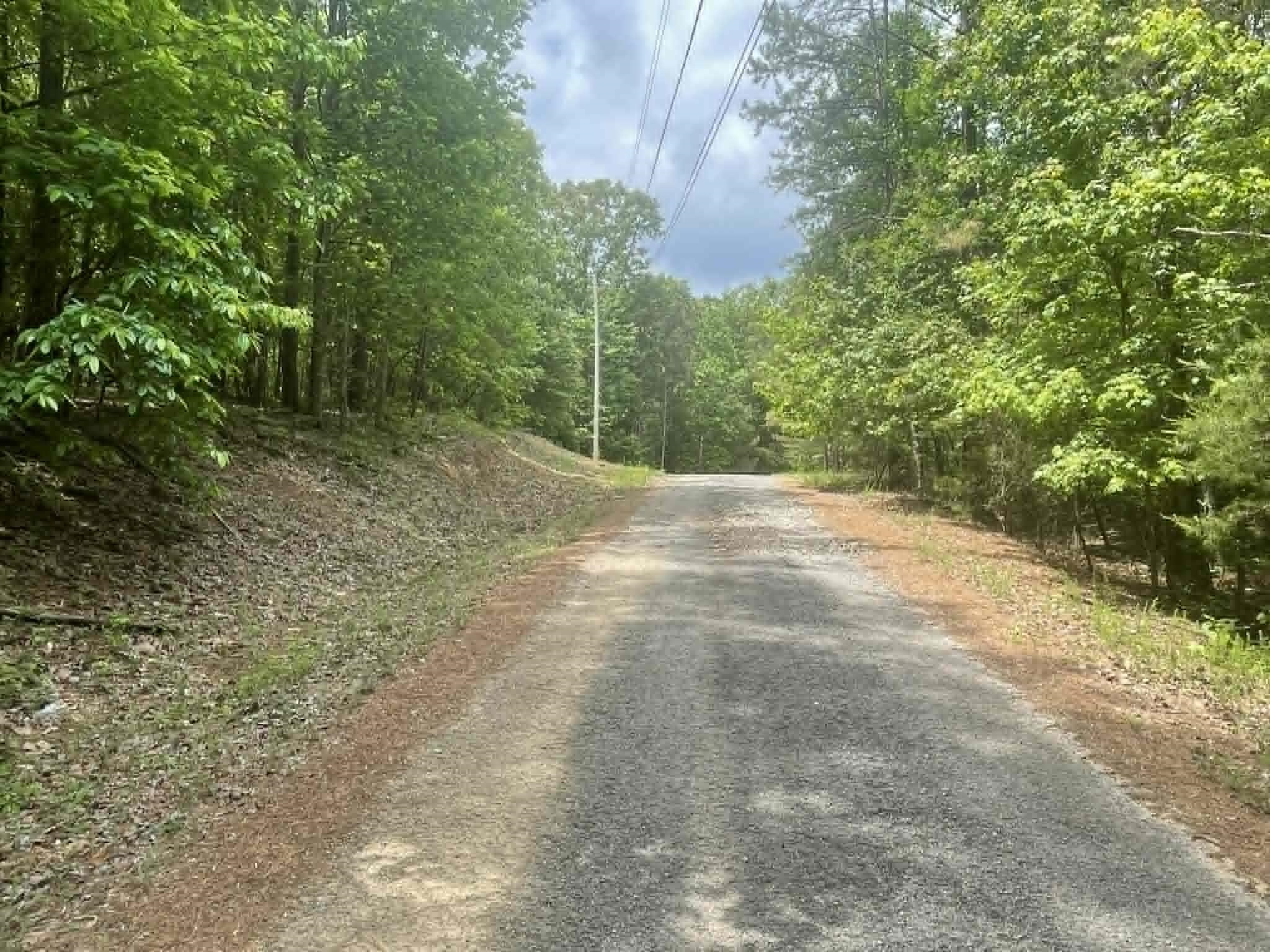 00 Bluff Way, Jasper, AL 35503 — photo 7