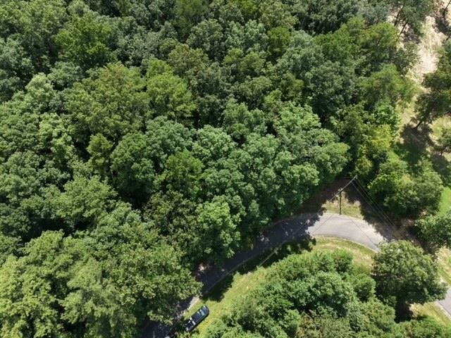 00 Bluff Way, Jasper, AL 35503 — photo 9