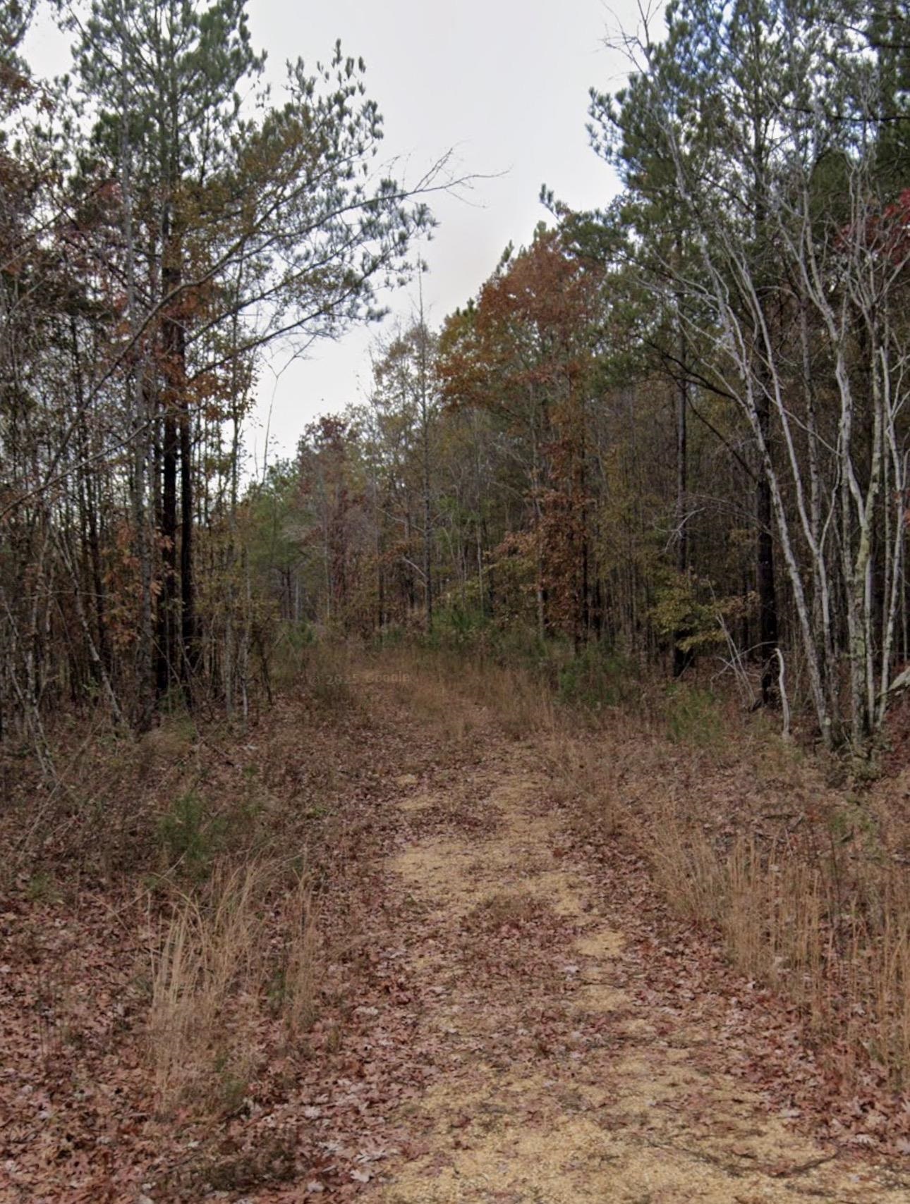104 Fuller, Phil Campbell, AL 35581 — photo 1