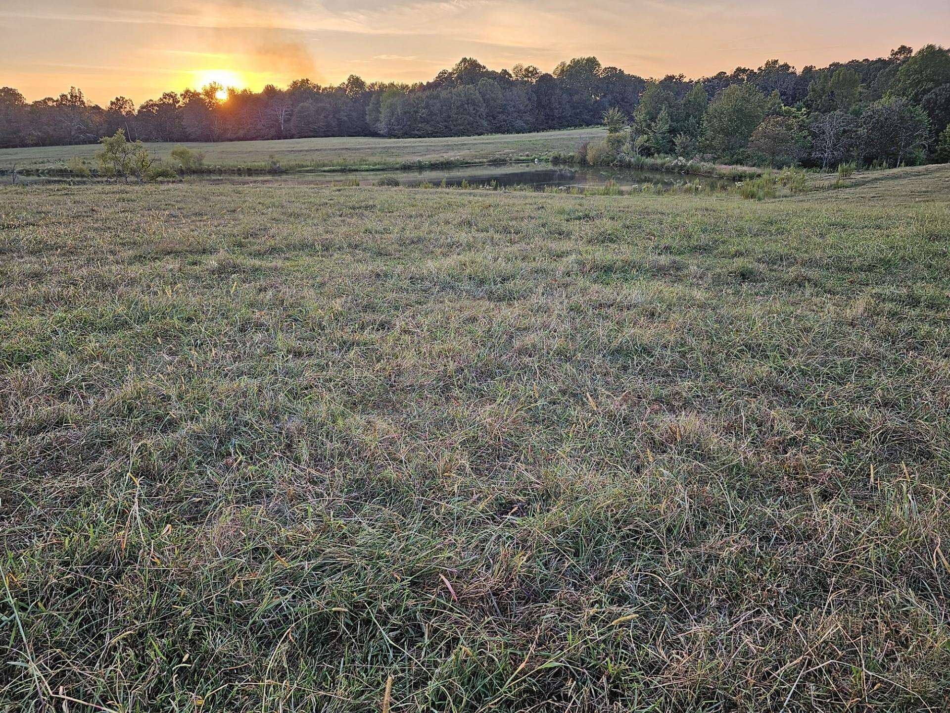 010 Little Egypt Rd, Tuscumbia, AL 35674 — photo 1