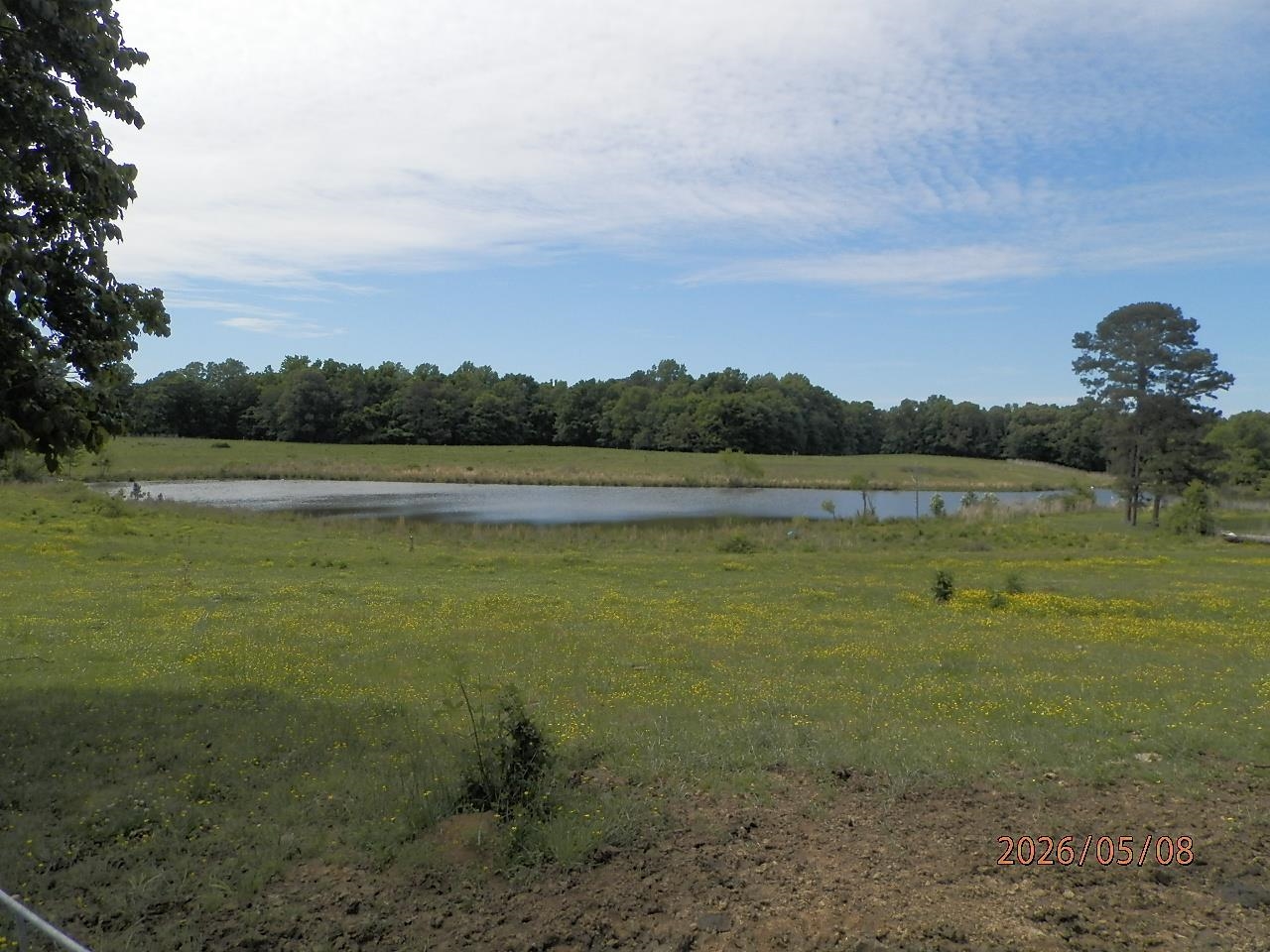 010 Little Egypt Rd, Tuscumbia, AL 35674 — photo 2