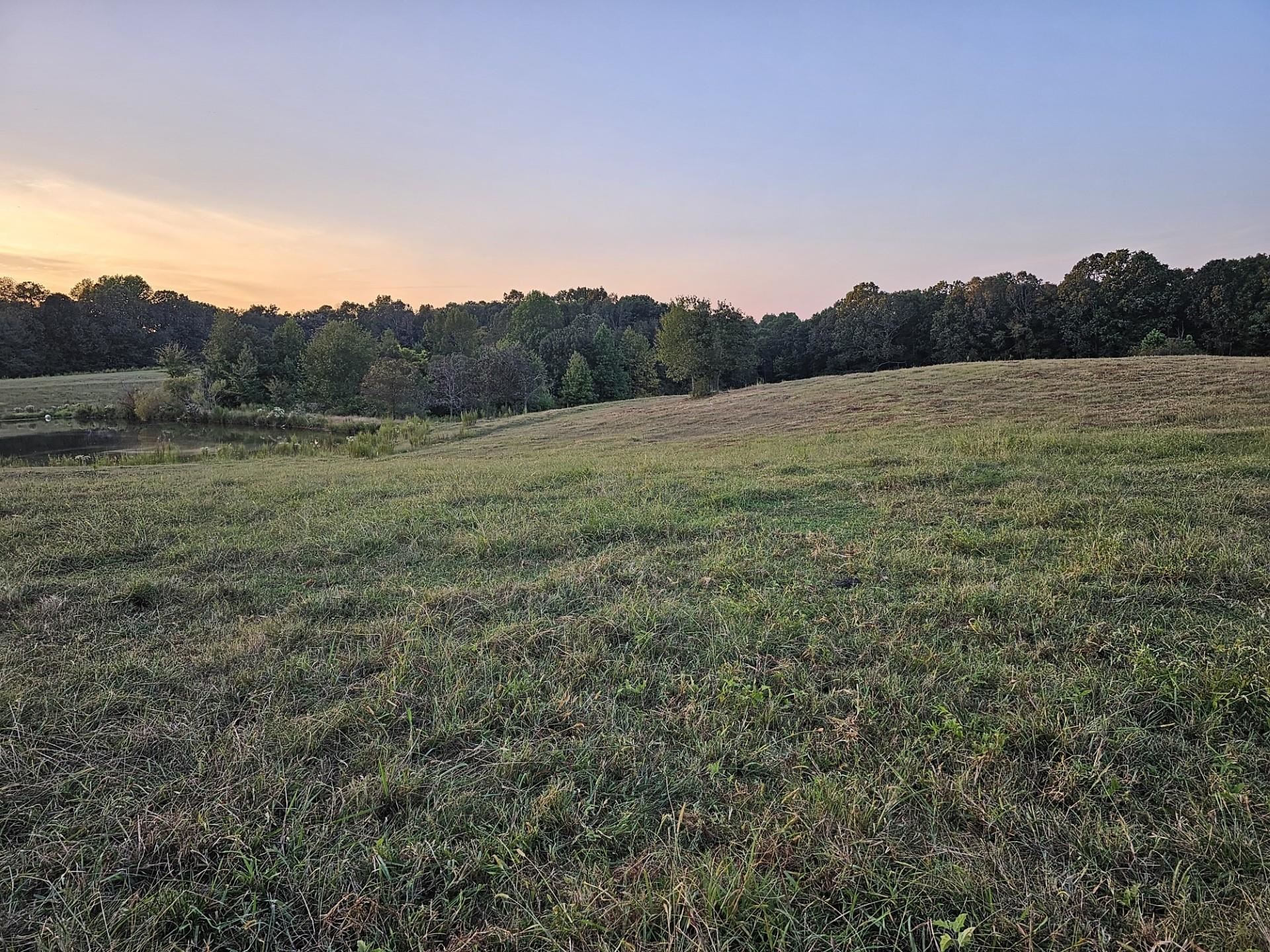 010 Little Egypt Rd, Tuscumbia, AL 35674 — photo 11