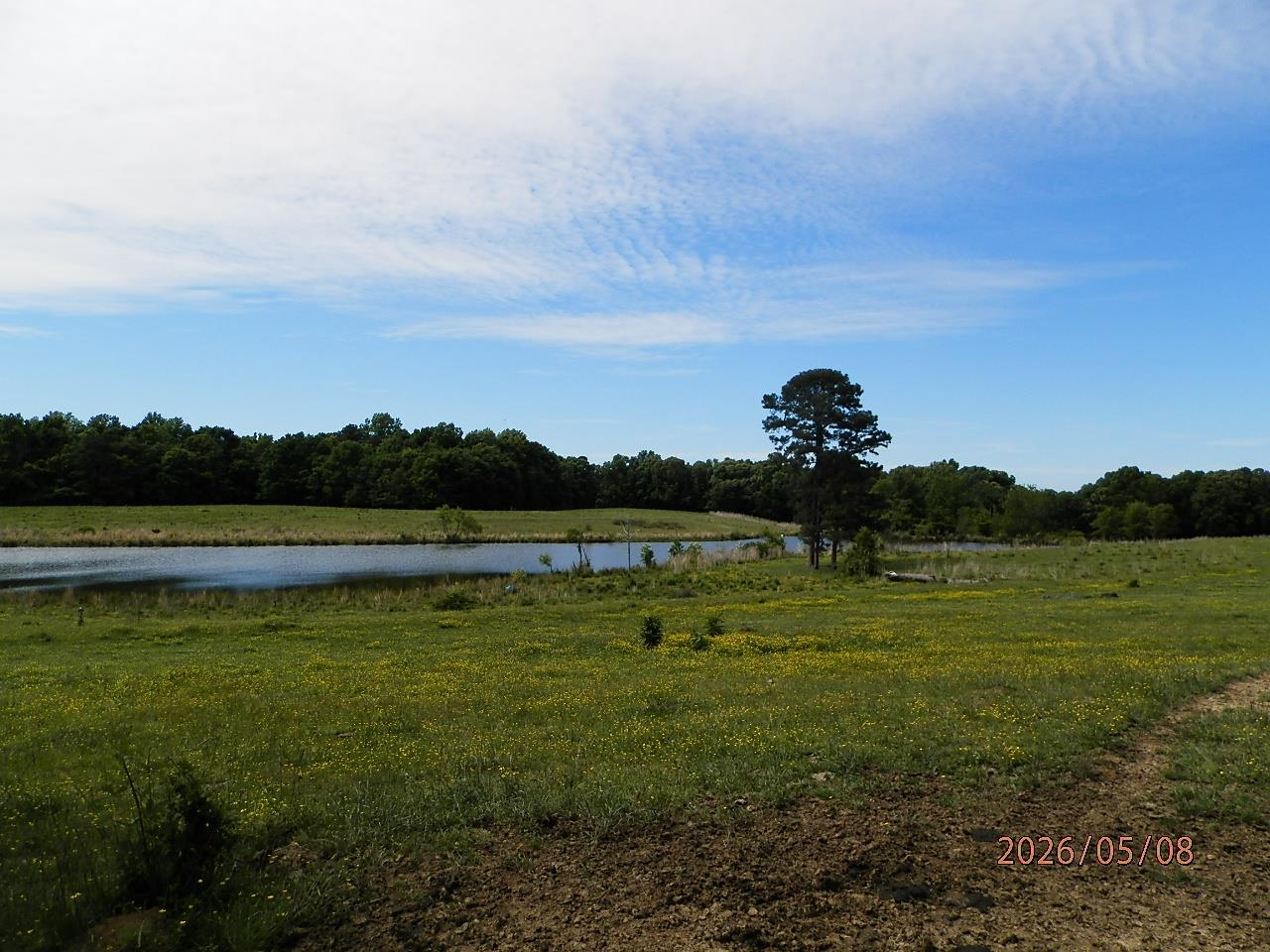 010 Little Egypt Rd, Tuscumbia, AL 35674 — photo 6