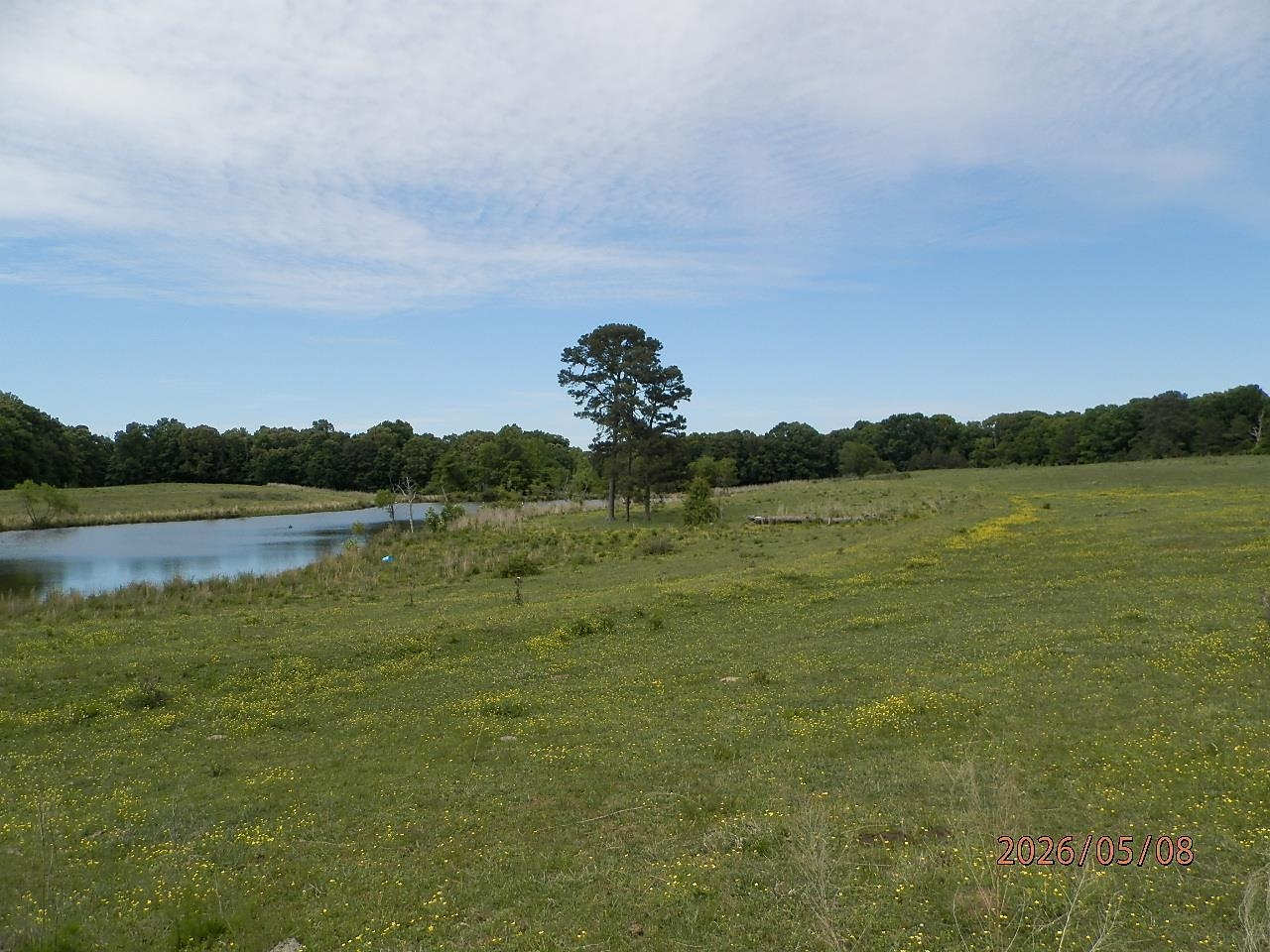 010 Little Egypt Rd, Tuscumbia, AL 35674 — photo 7