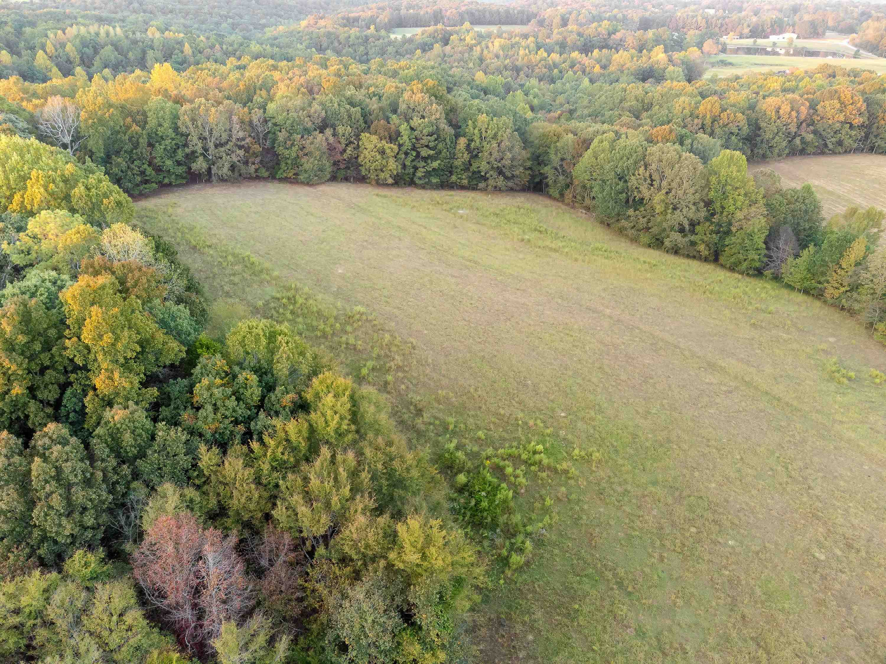 010 Little Egypt Rd, Tuscumbia, AL 35674 — photo 8