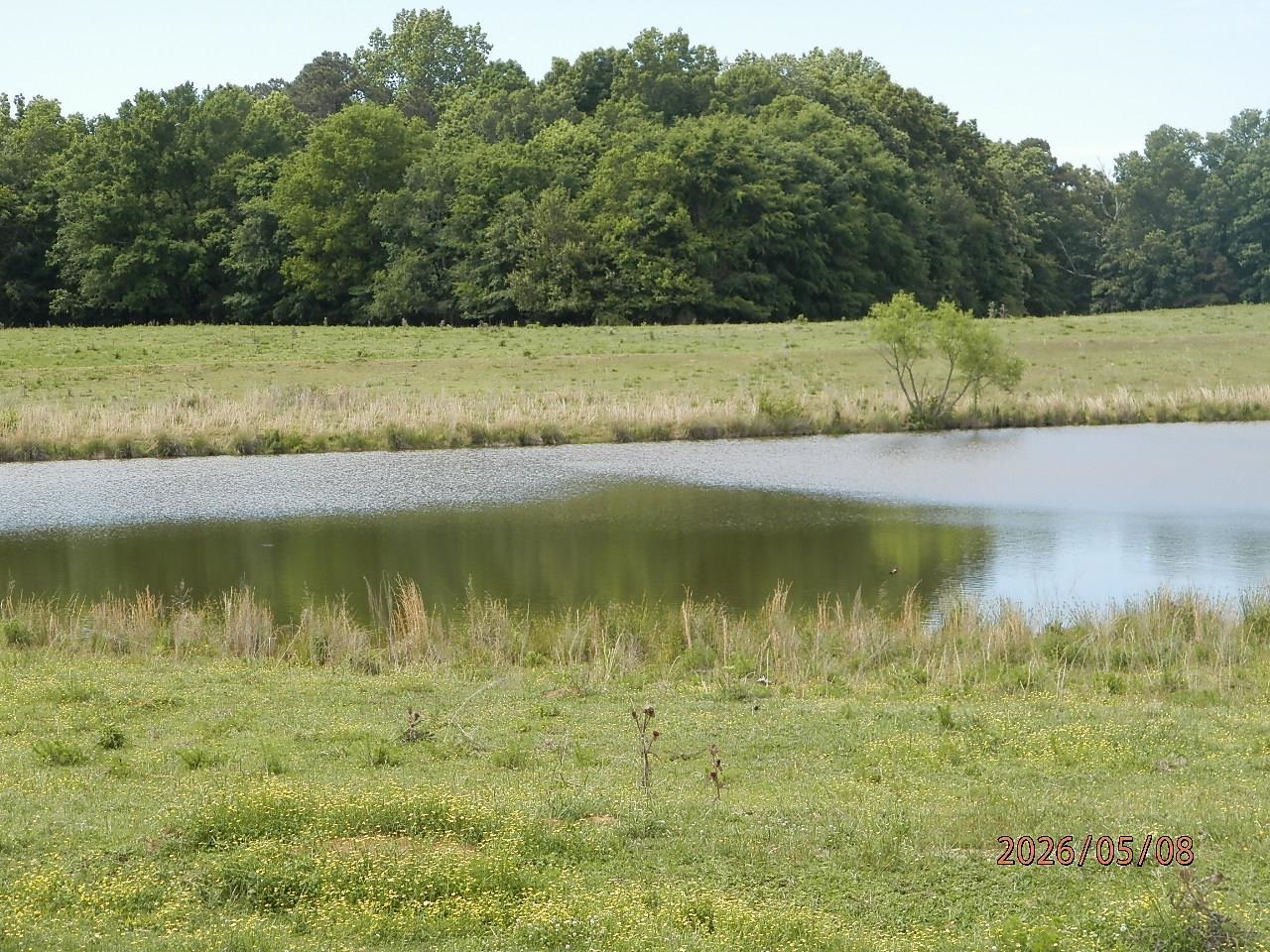 010 Little Egypt Rd, Tuscumbia, AL 35674 — photo 9
