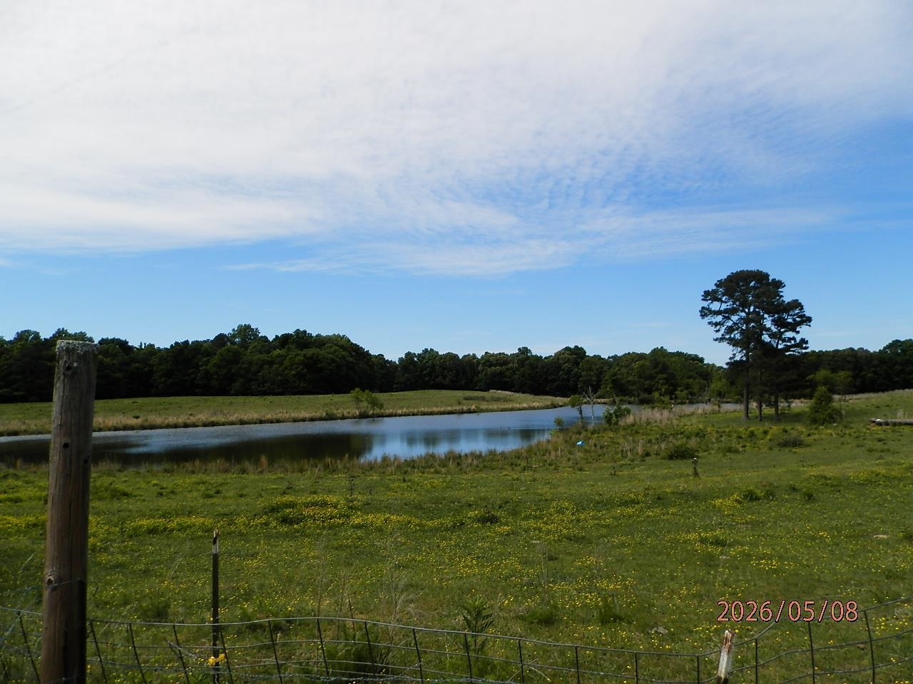 010 Little Egypt Rd, Tuscumbia, AL 35674 — photo 10