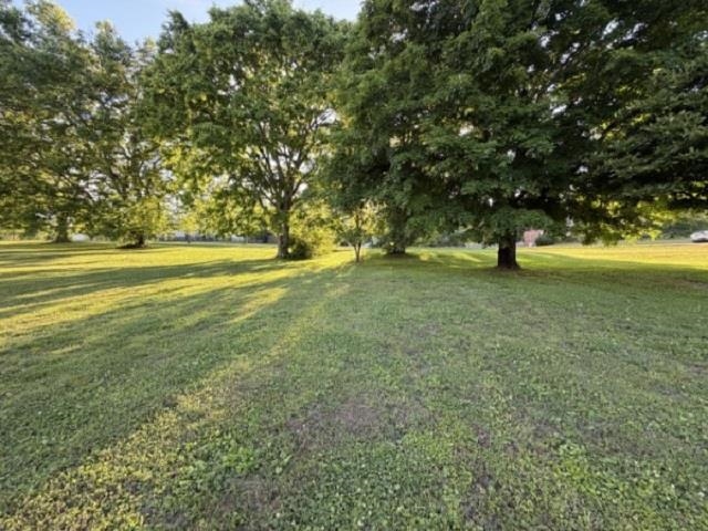 205 Ouida Ln, Columbia, TN 38401 — photo 9