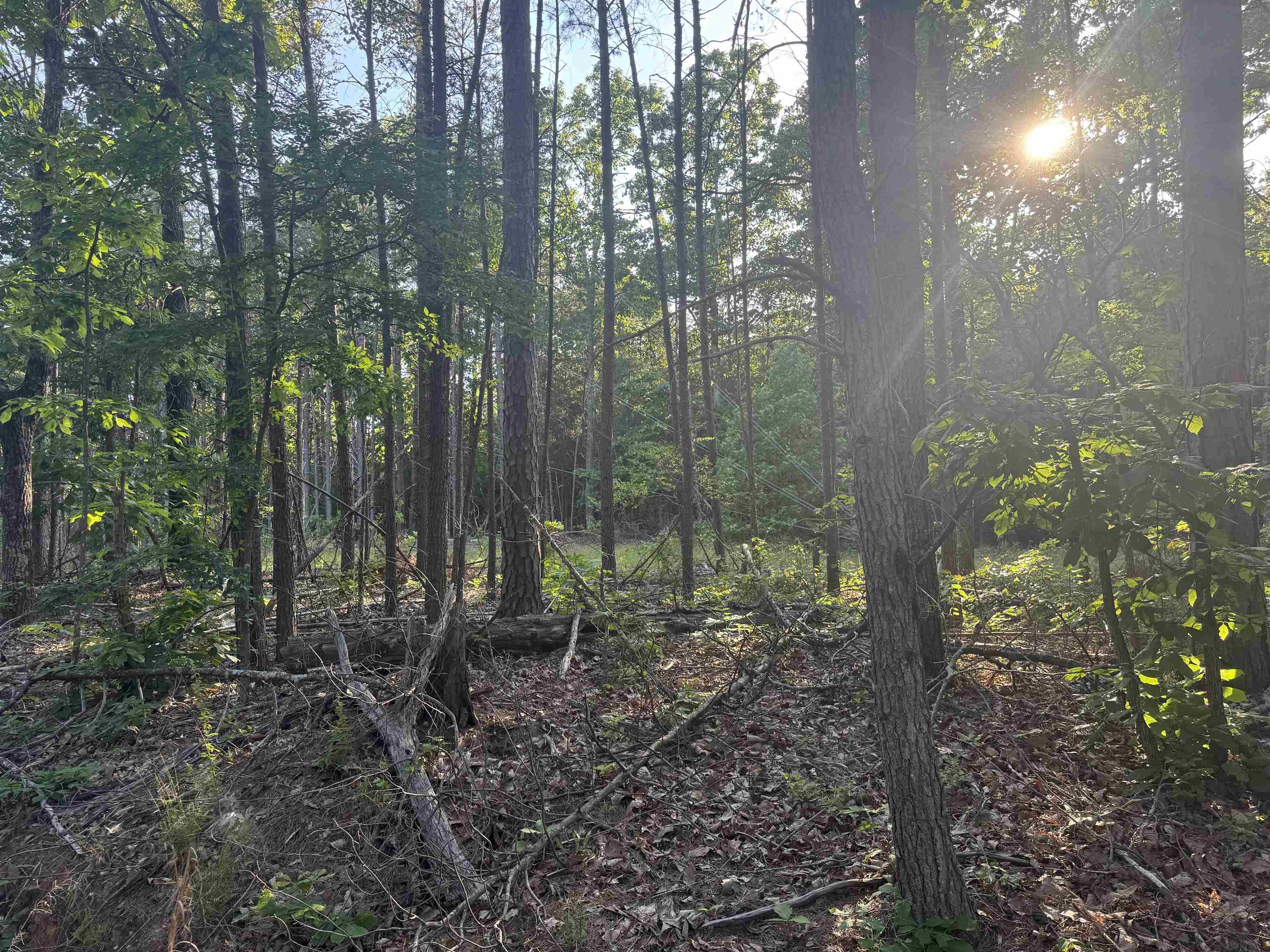 475 Summer House Rd, Cherokee, AL 35616 — photo 1