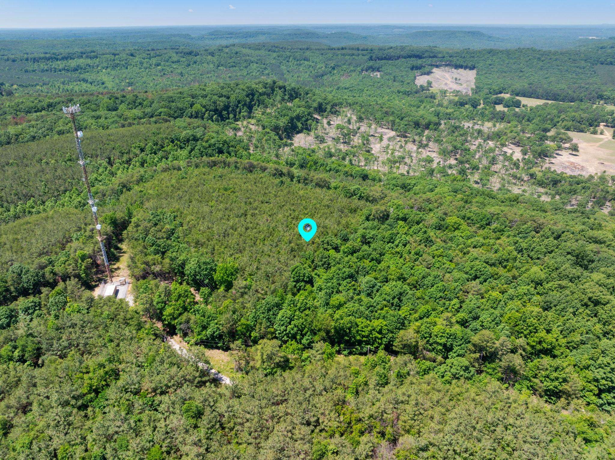 475 Summer House Rd, Cherokee, AL 35616 — photo 2