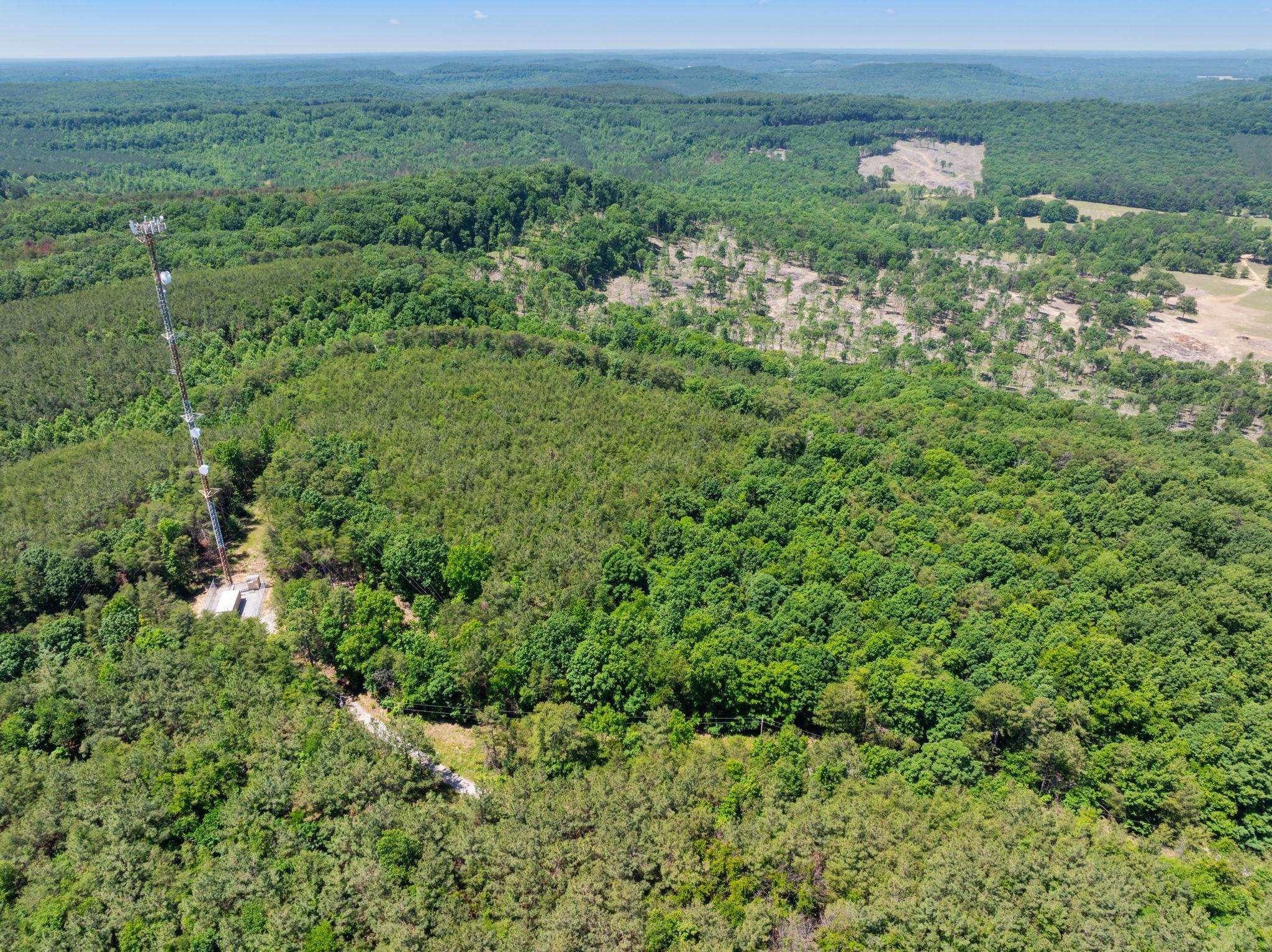 475 Summer House Rd, Cherokee, AL 35616 — photo 11