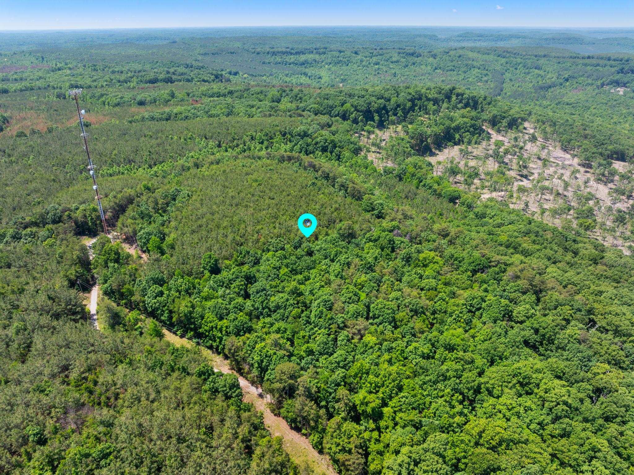 475 Summer House Rd, Cherokee, AL 35616 — photo 12