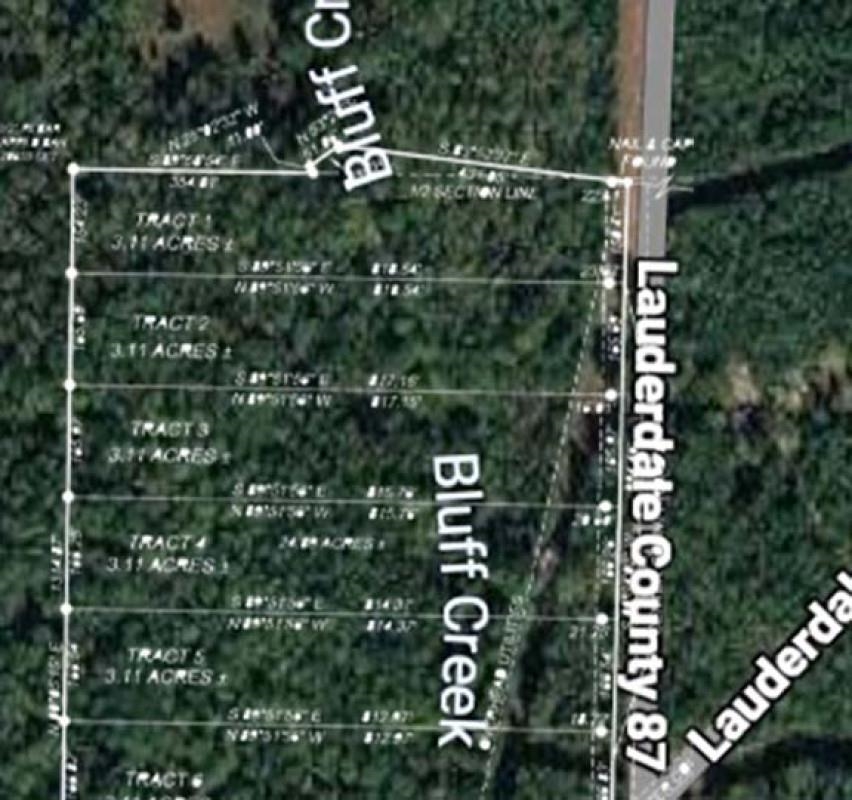 3591 Co Rd 87, Florence, AL 35677 — photo 5