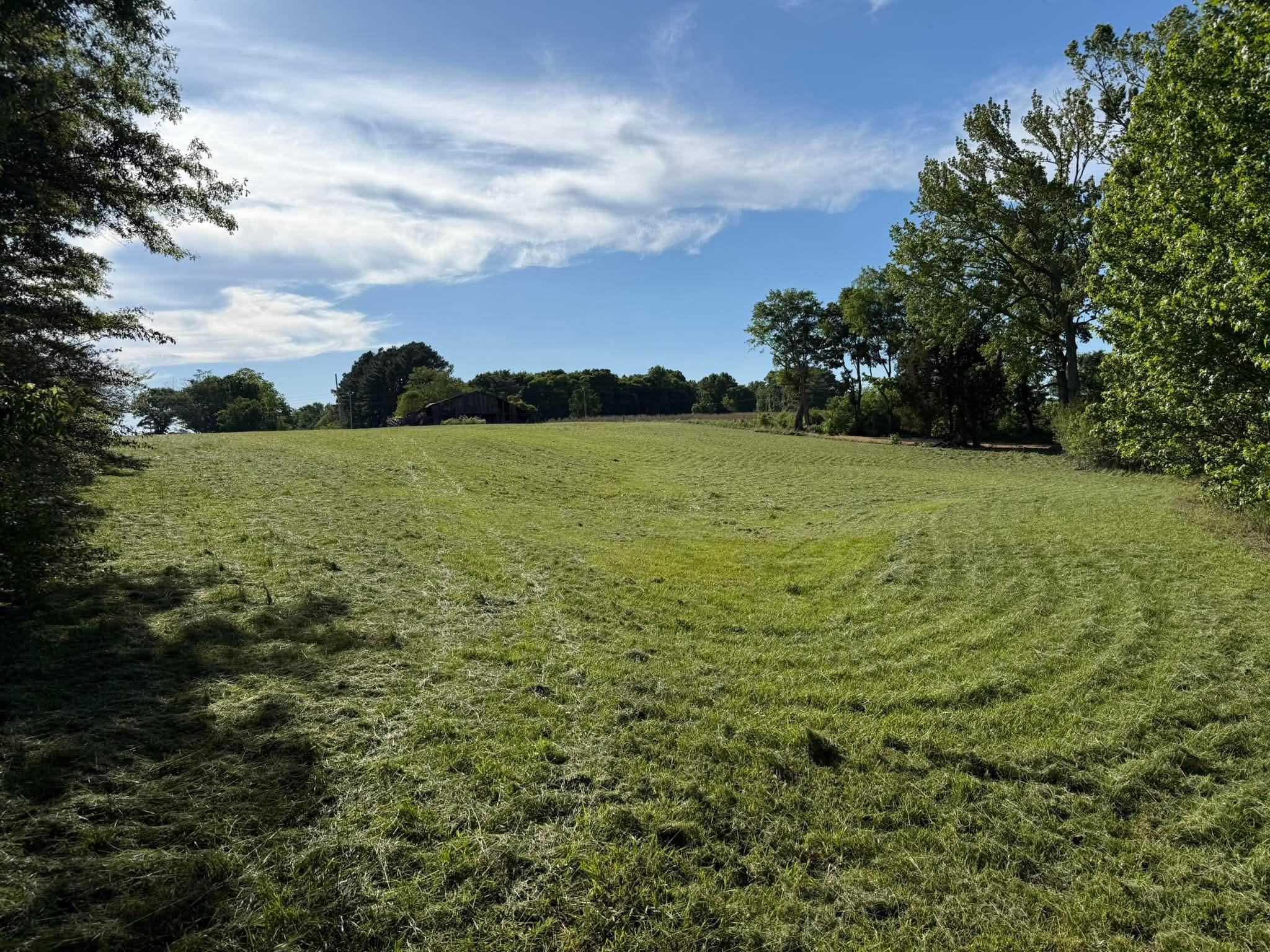 0 Co Rd 96, Rogersville, AL 35652 — photo 3