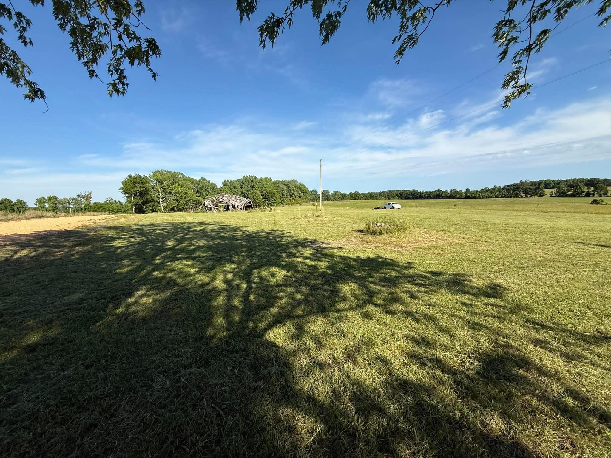 0 Co Rd 96, Rogersville, AL 35652 — photo 5