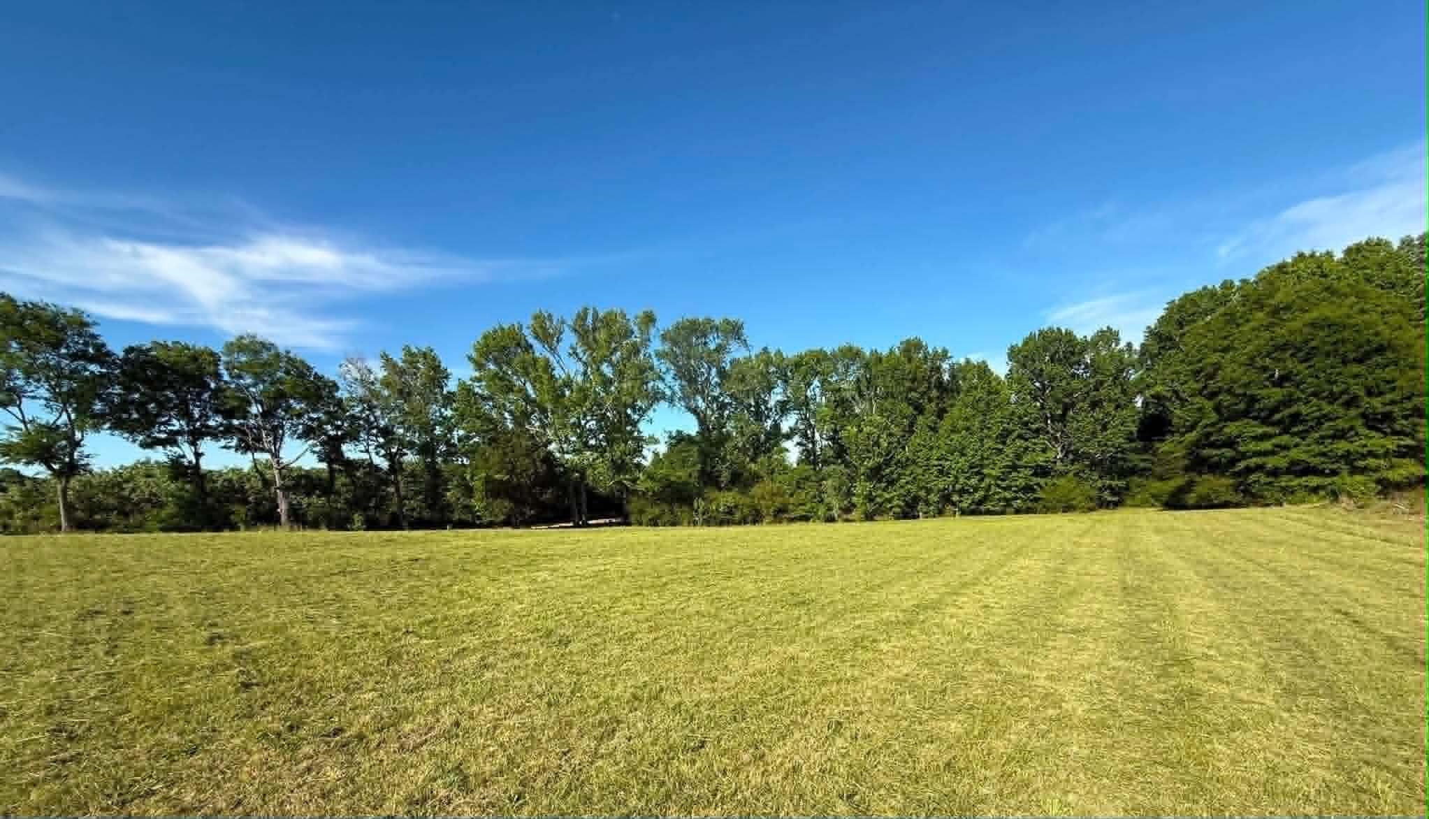 0 Co Rd 96, Rogersville, AL 35652 — photo 8