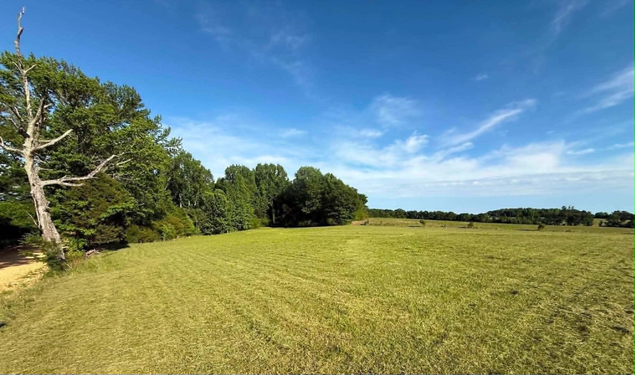 0 Co Rd 96, Rogersville, AL 35652 — photo 9