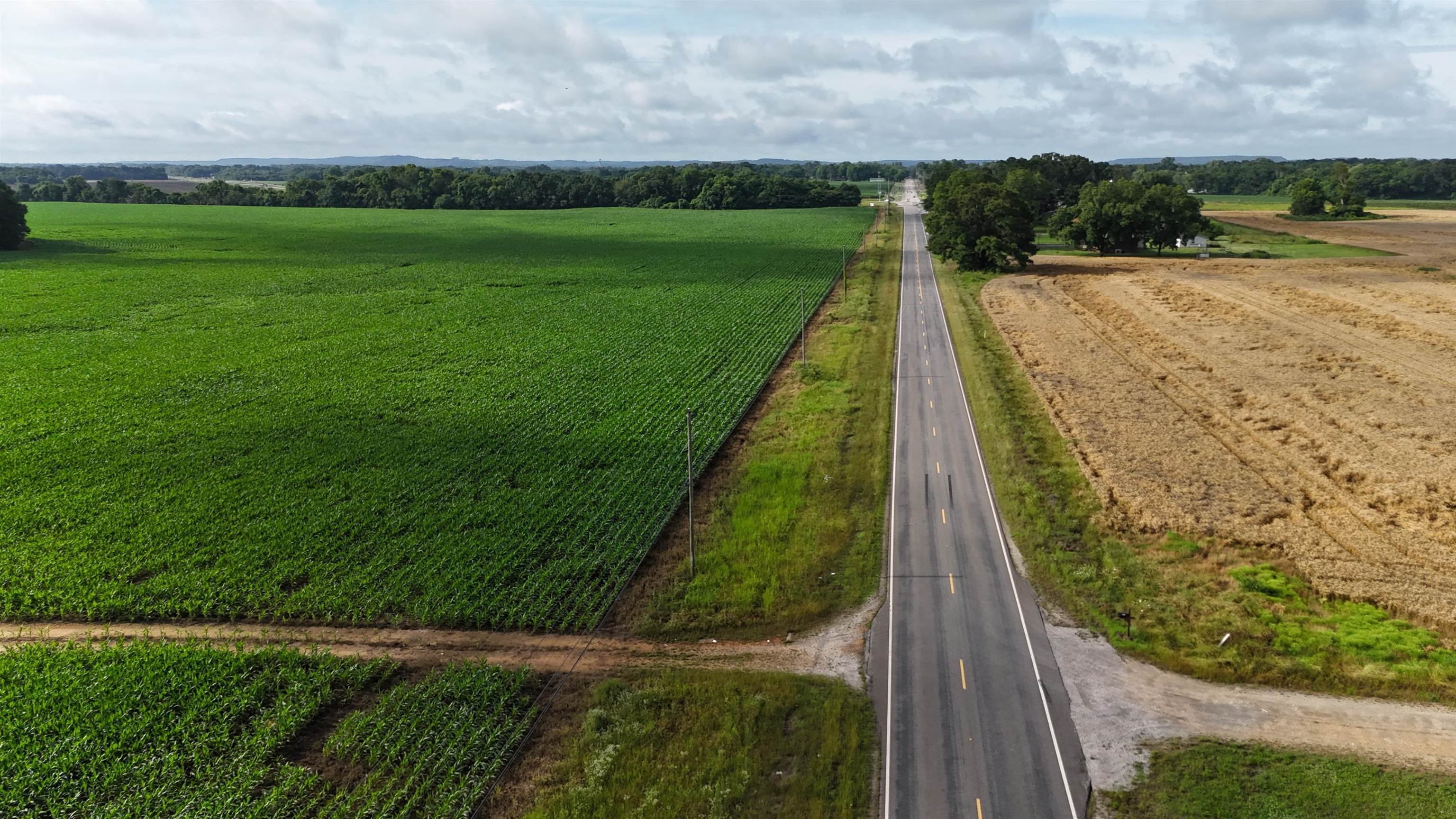0 Co Rd 150, Courtland, AL 35618 — photo 10