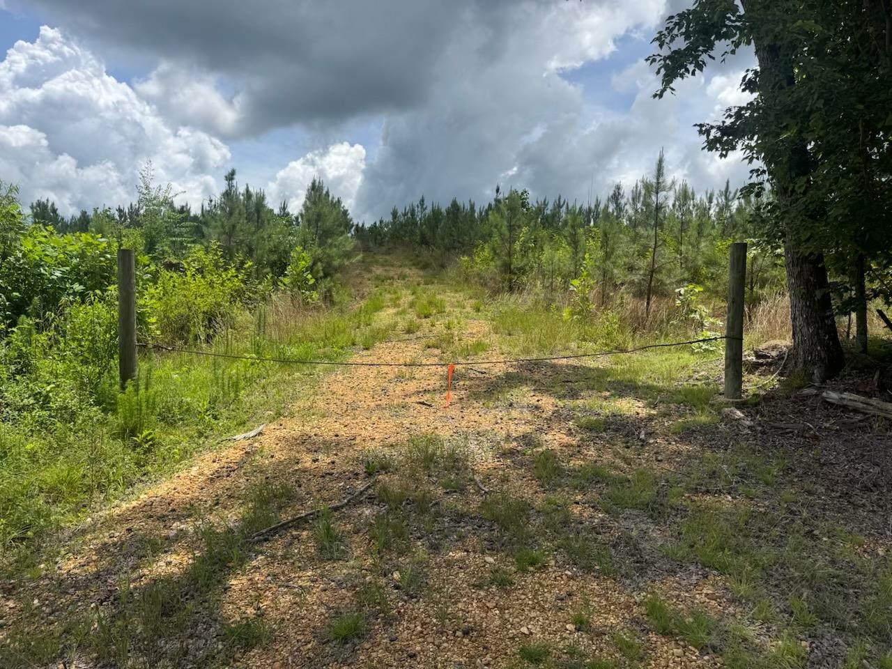 0 White Pike, Cherokee, AL 35616 — photo 11