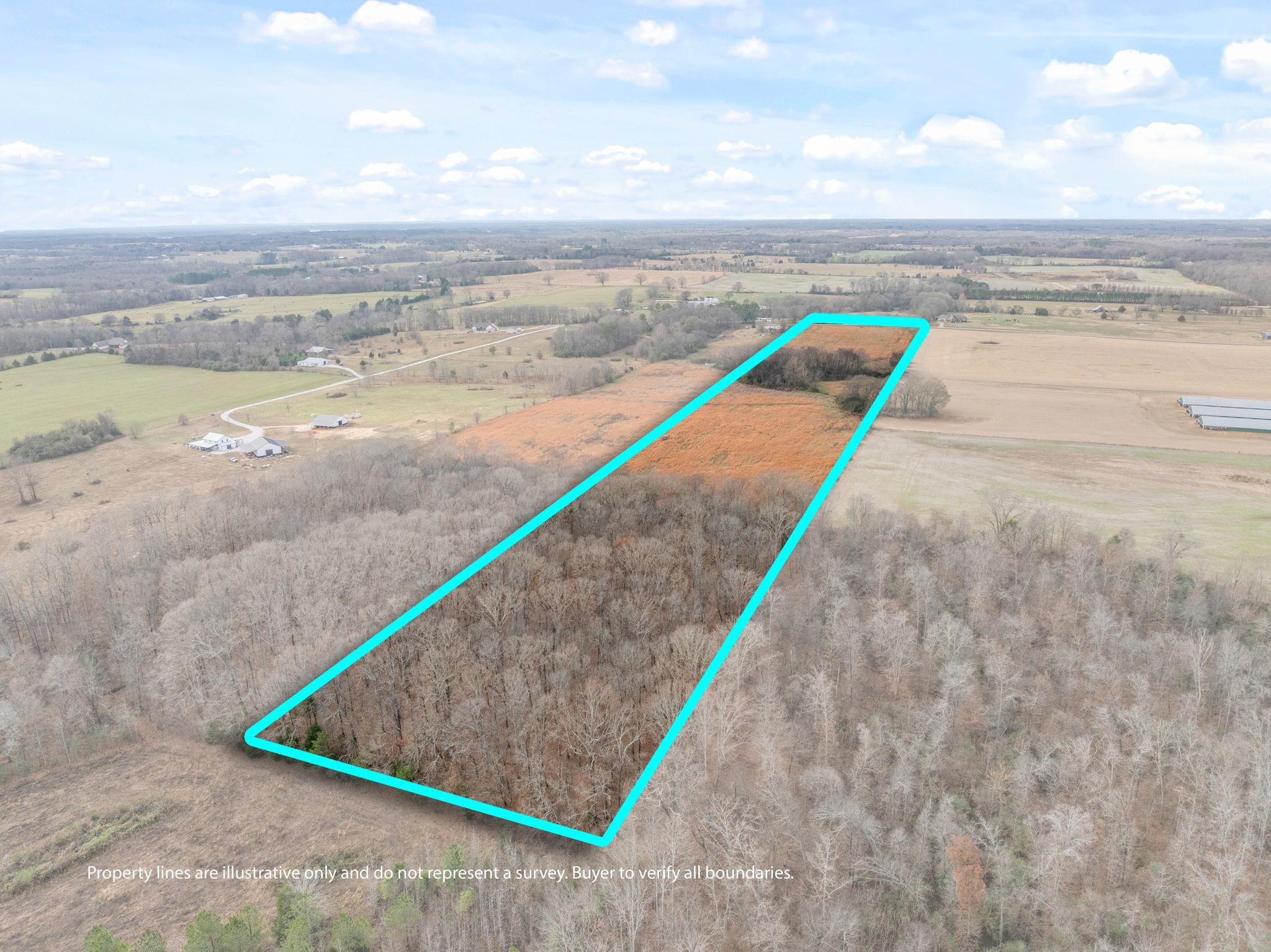 0 Co Rd 55, Rogersville, AL 35652 — photo 3