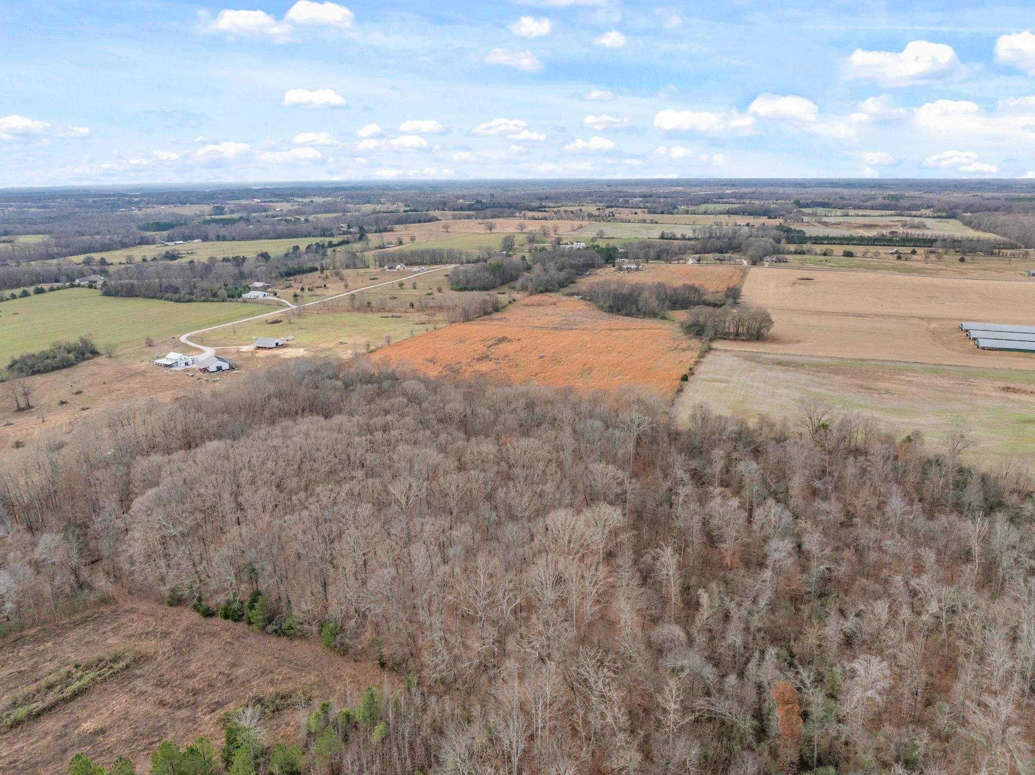 0 Co Rd 55, Rogersville, AL 35652 — photo 4