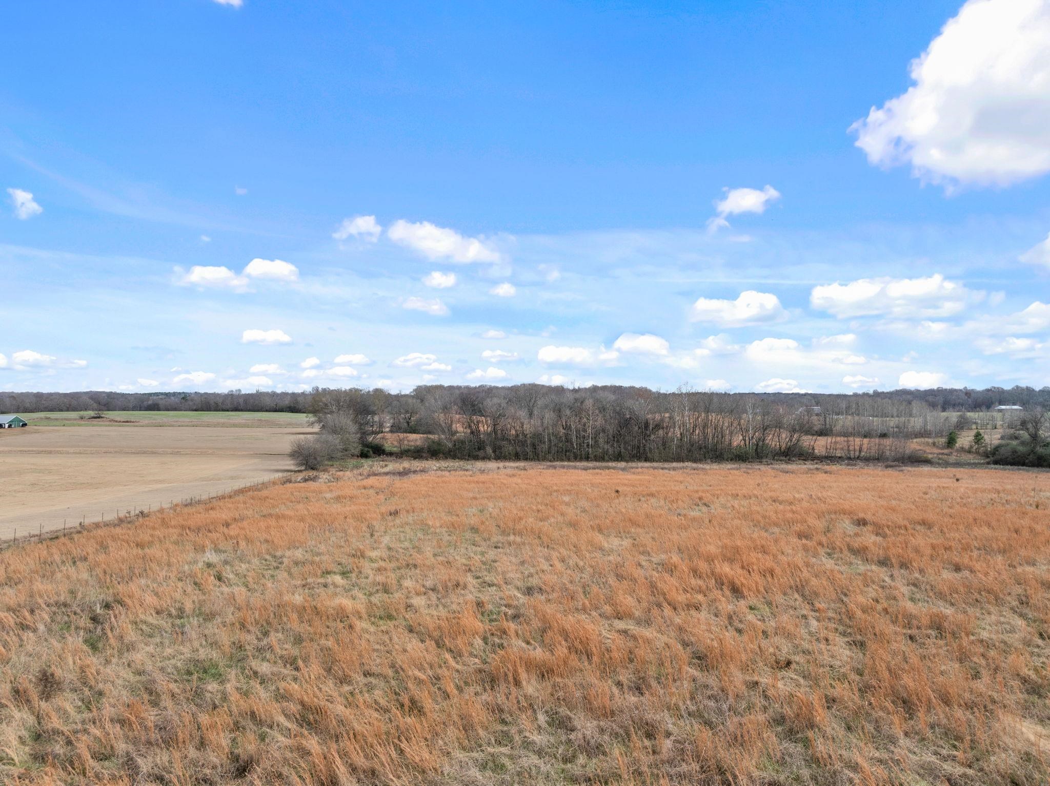 0 Co Rd 55, Rogersville, AL 35652 — photo 8