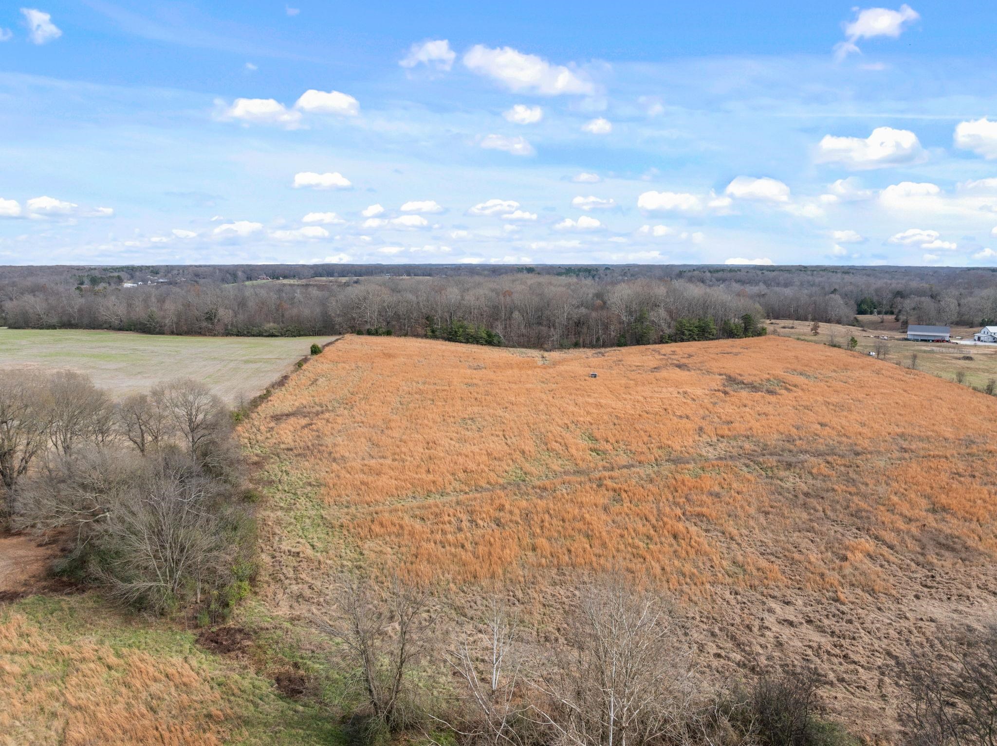 0 Co Rd 55, Rogersville, AL 35652 — photo 9