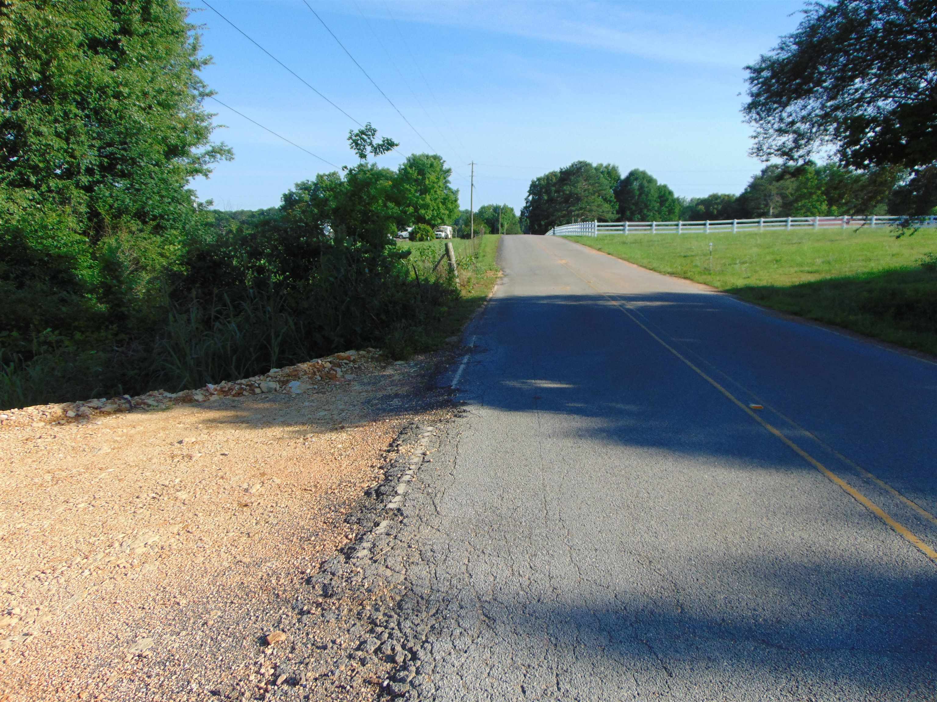 1245 Co Rd 496, Lexington, AL 35648 — photo 11