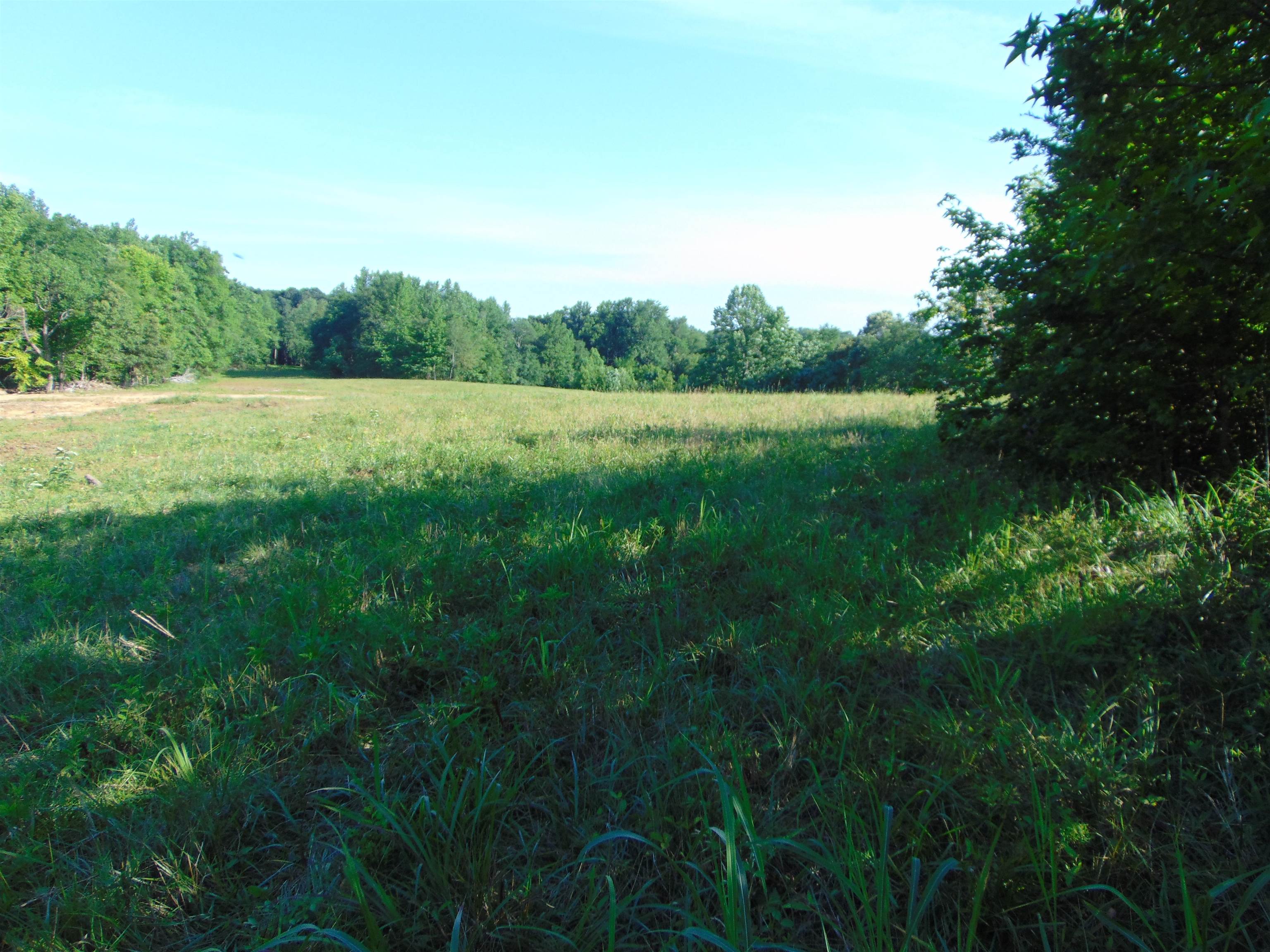 1245 Co Rd 496, Lexington, AL 35648 — photo 3