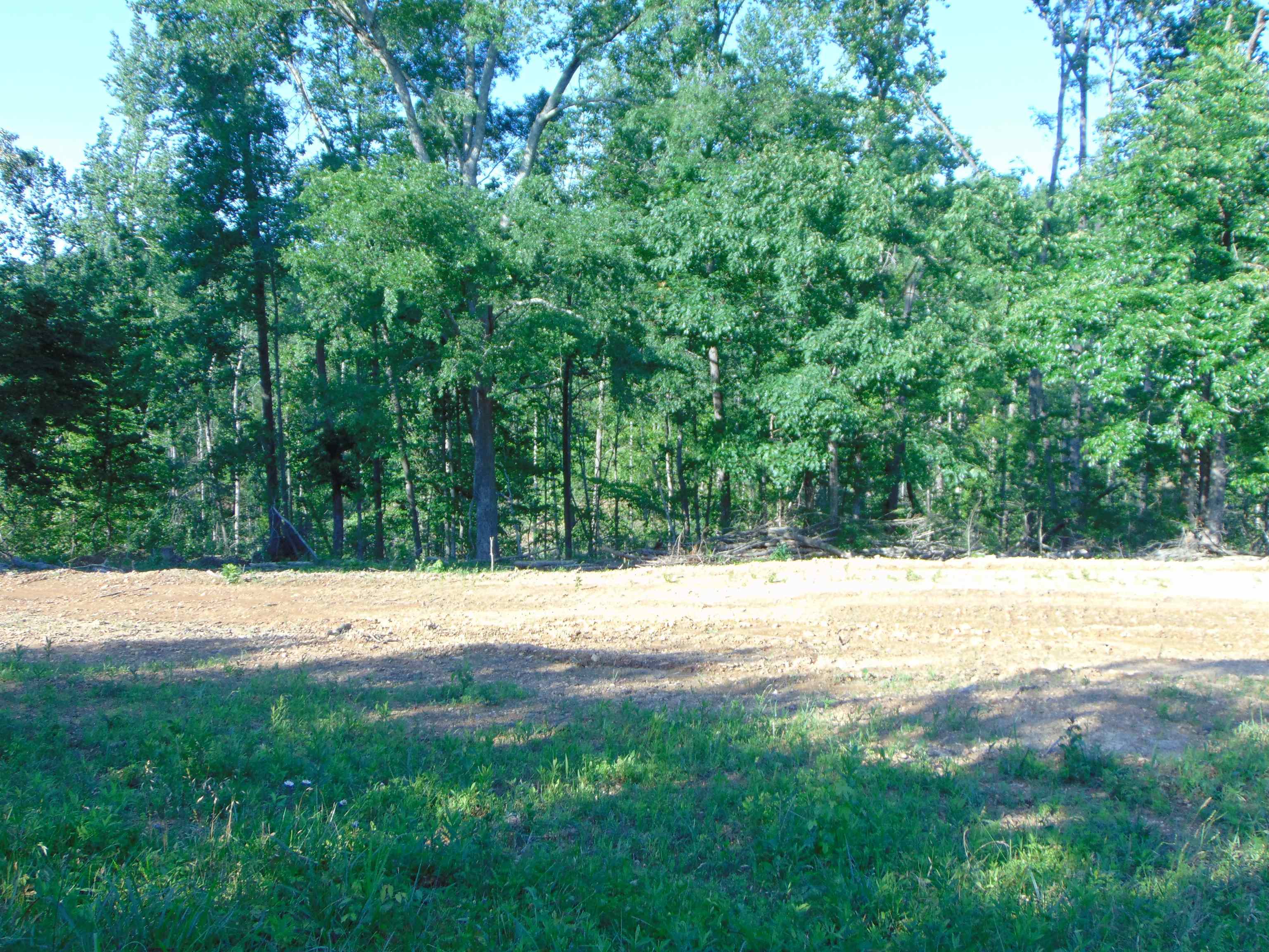 1245 Co Rd 496, Lexington, AL 35648 — photo 7