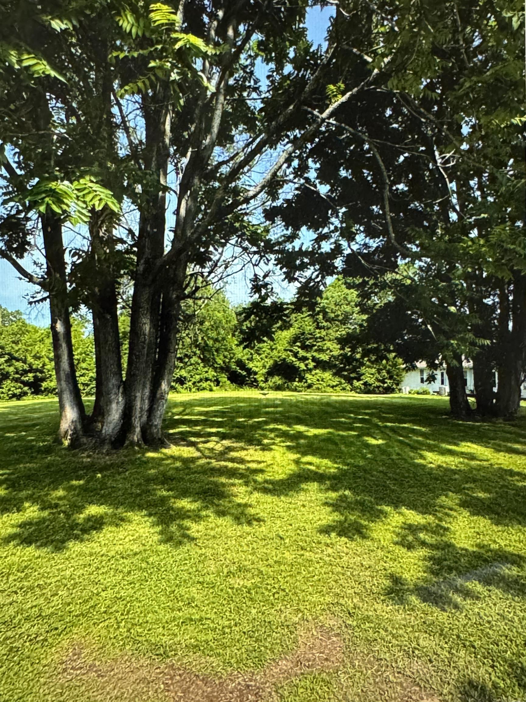 0 Keller Ln, Tuscumbia, AL 35674 — photo 1