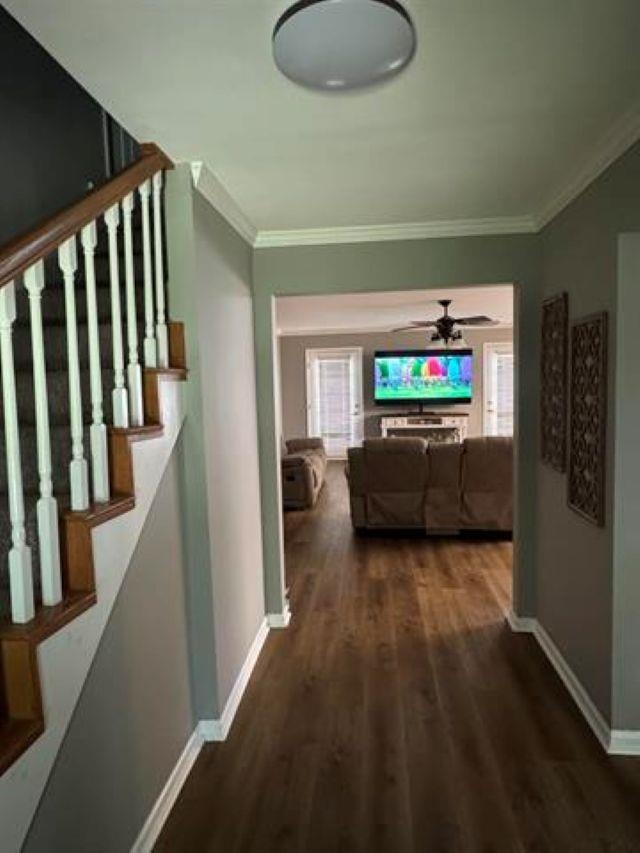 608 SW Elm Cir, Russellville, AL 35653 — photo 7