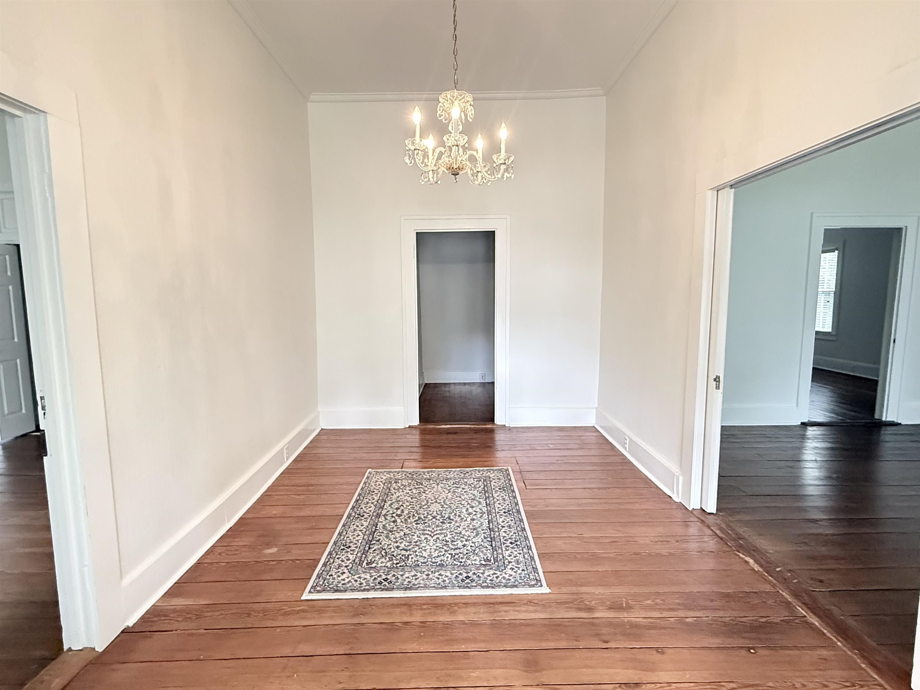 414 N Poplar St, Florence, AL 35630 — photo 9