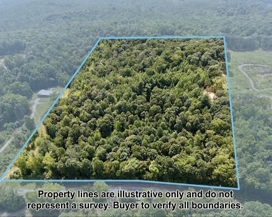 0 W Mt Mills Rd, Tuscumbia, AL 35674 — photo 1